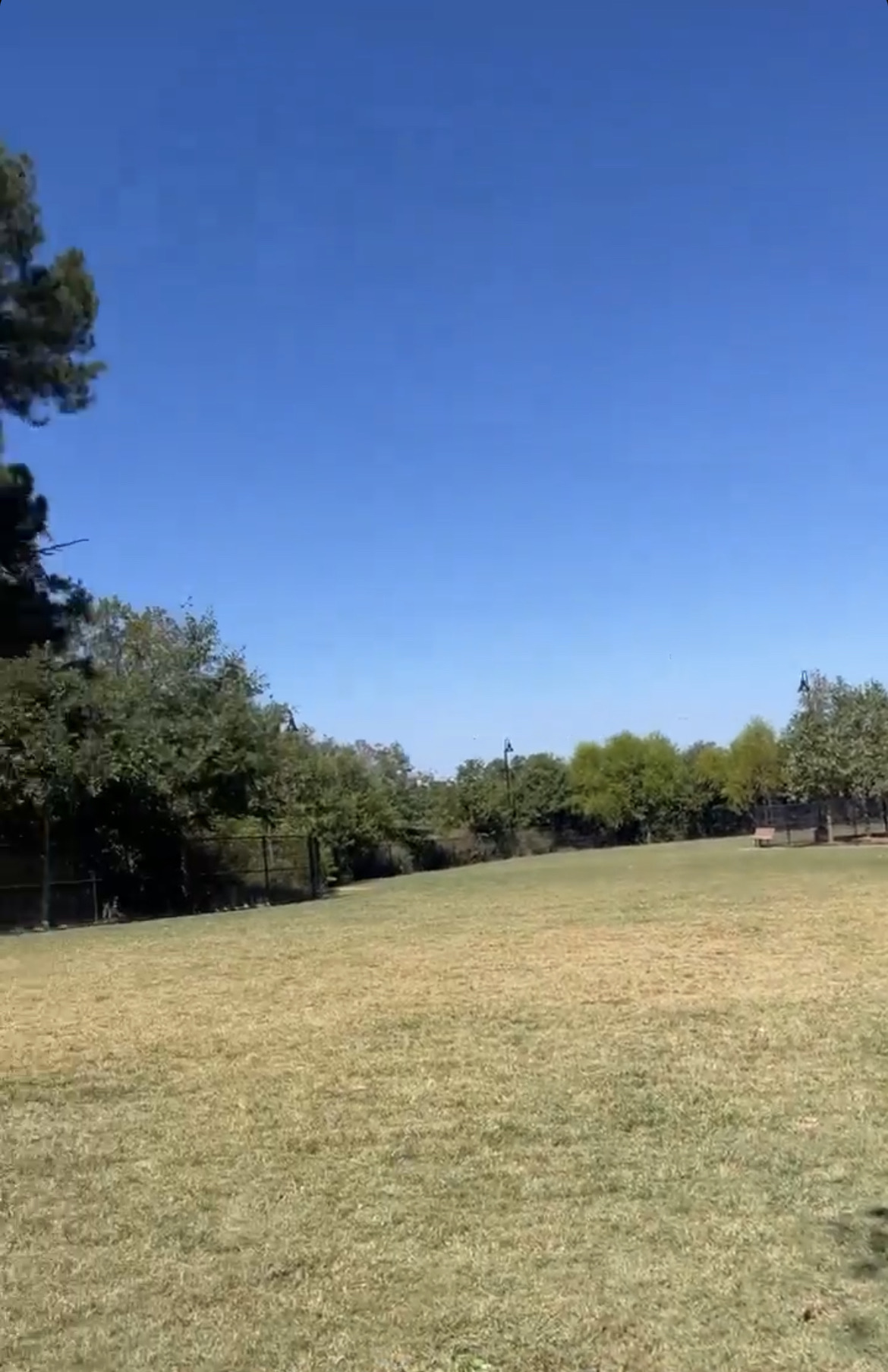 Rock Springs Dog Park