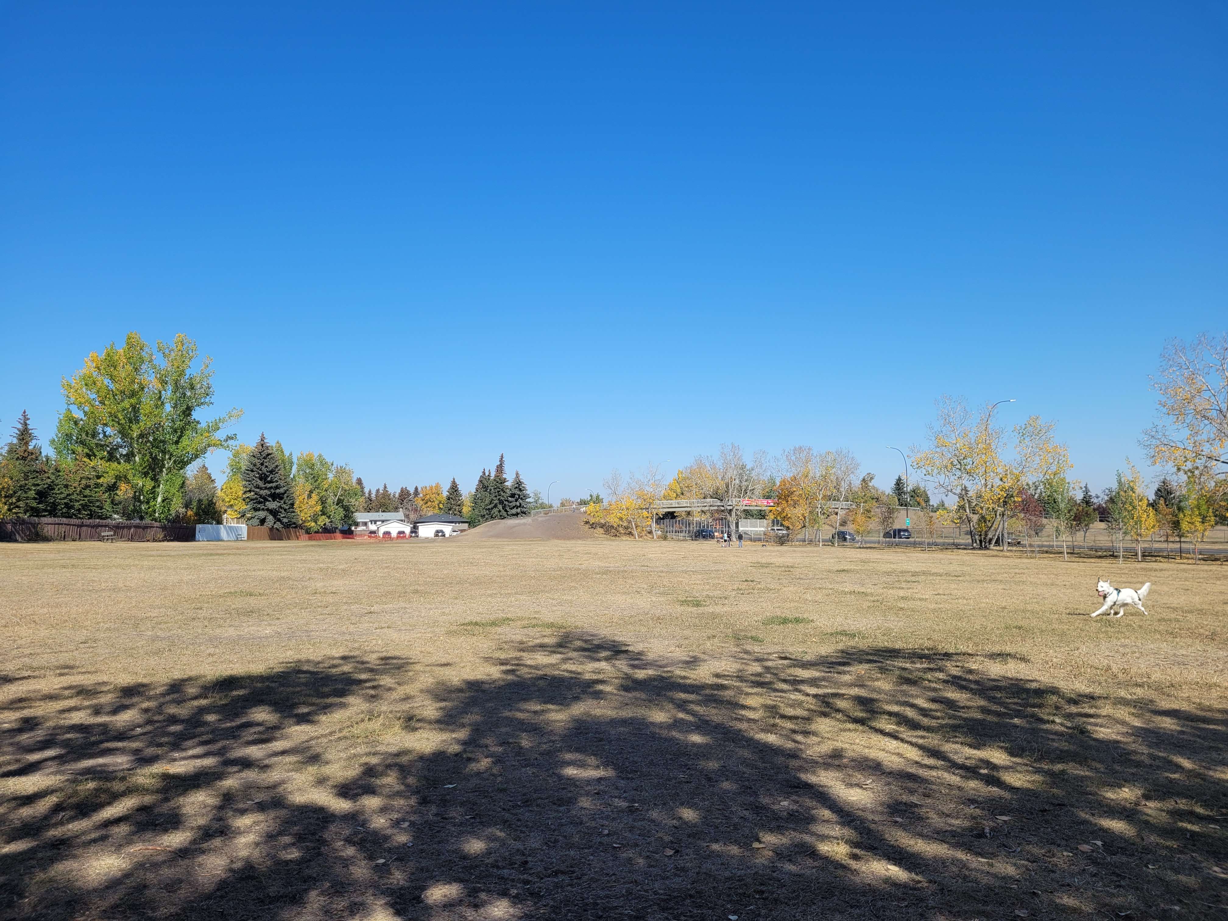Braeside Off Leash Area
