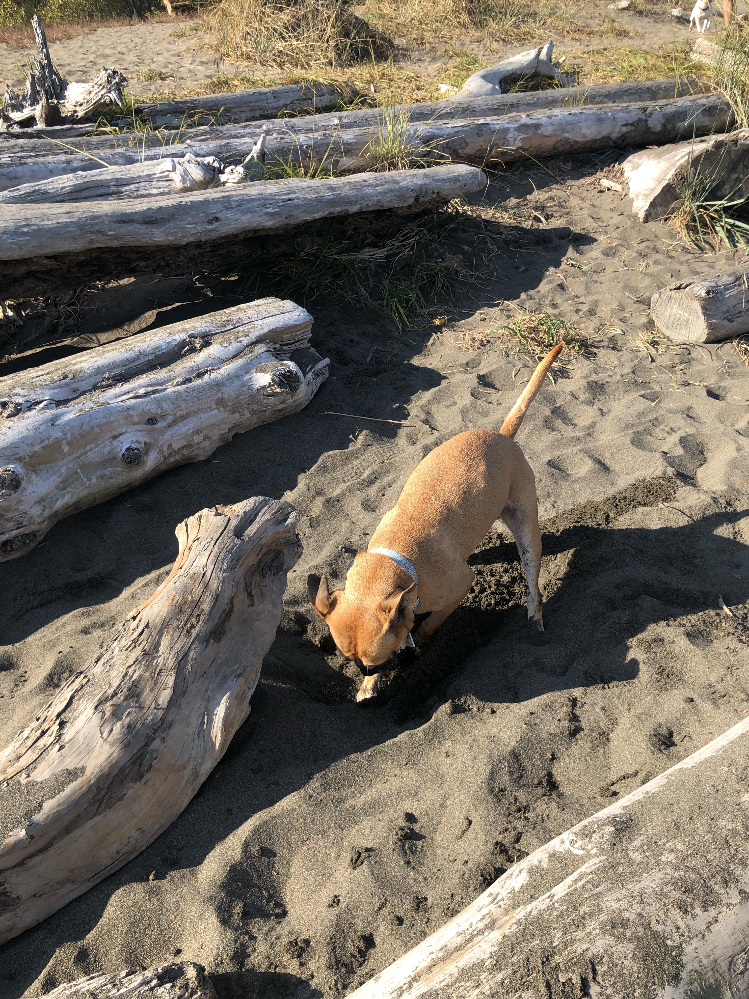 Pirates' Cove / McDonald Beach