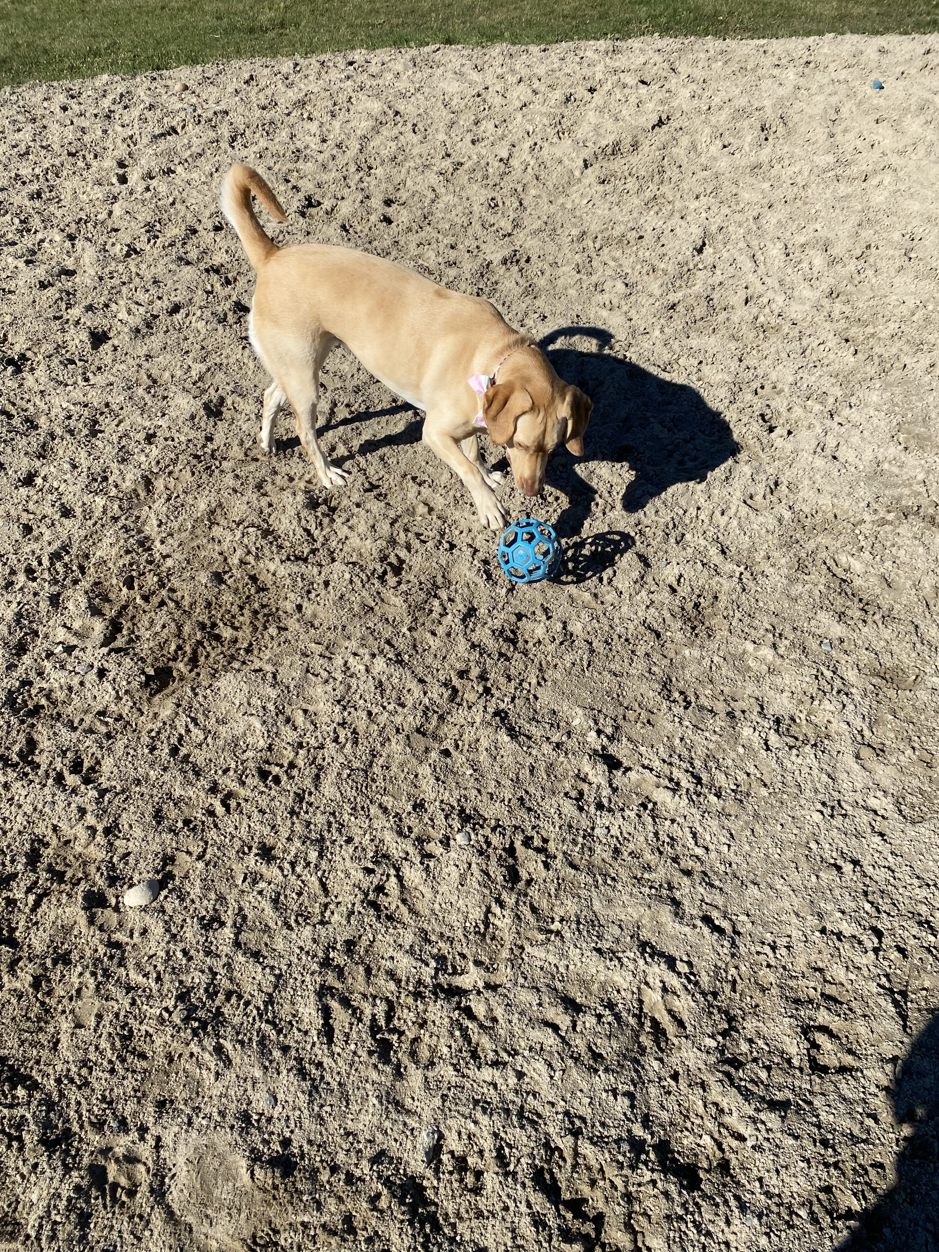 Minnow Lake Dog Park
