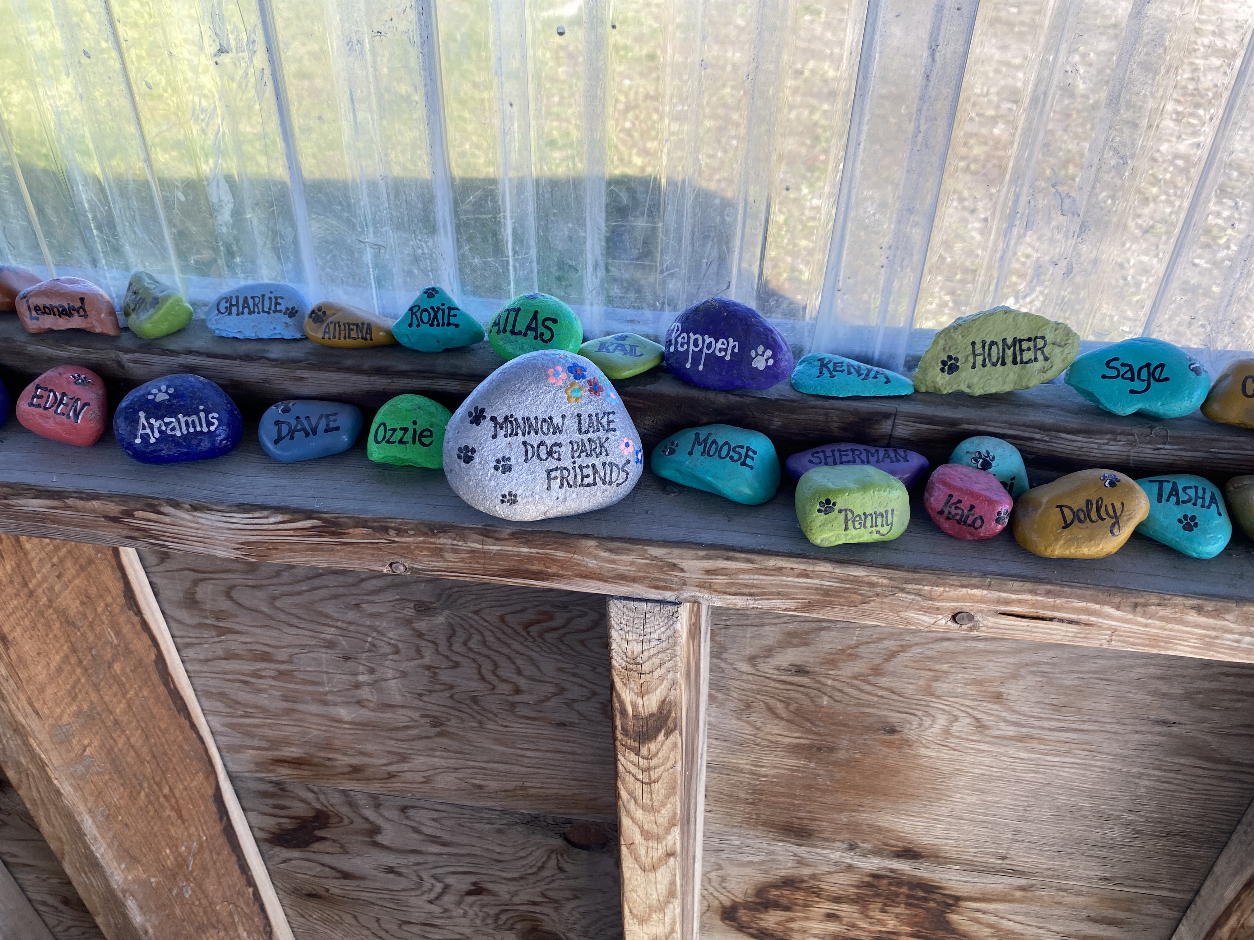 Minnow Lake Dog Park