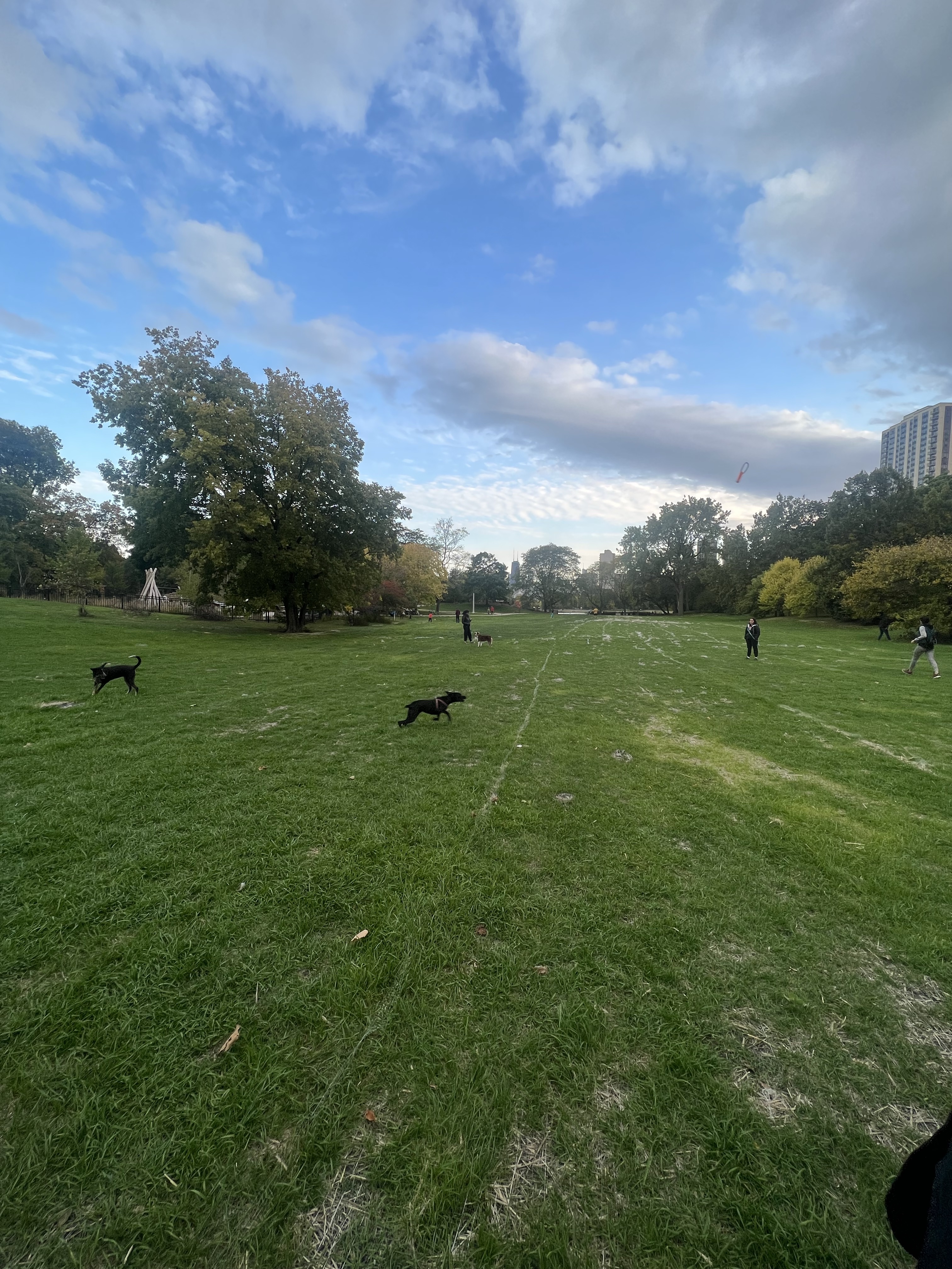 North Pond Nature Sanctuary Field