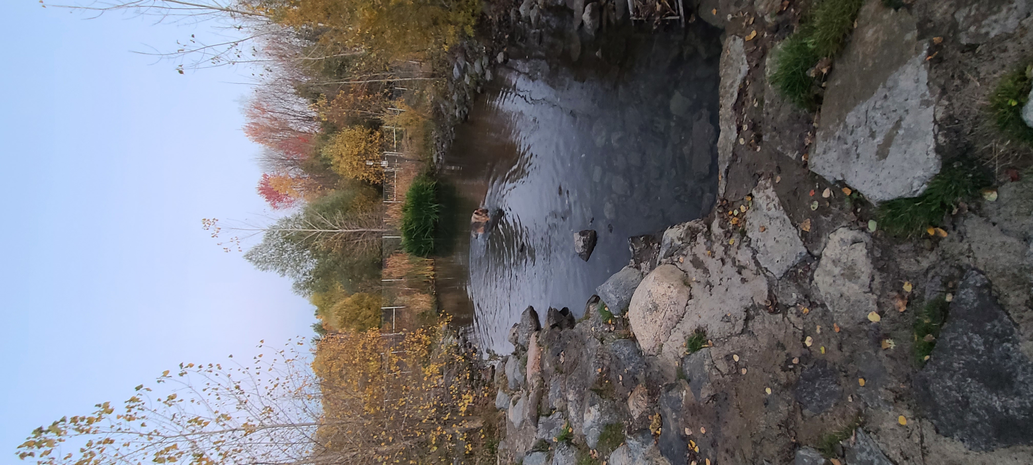 Aylmer Off-Leash Dog Park