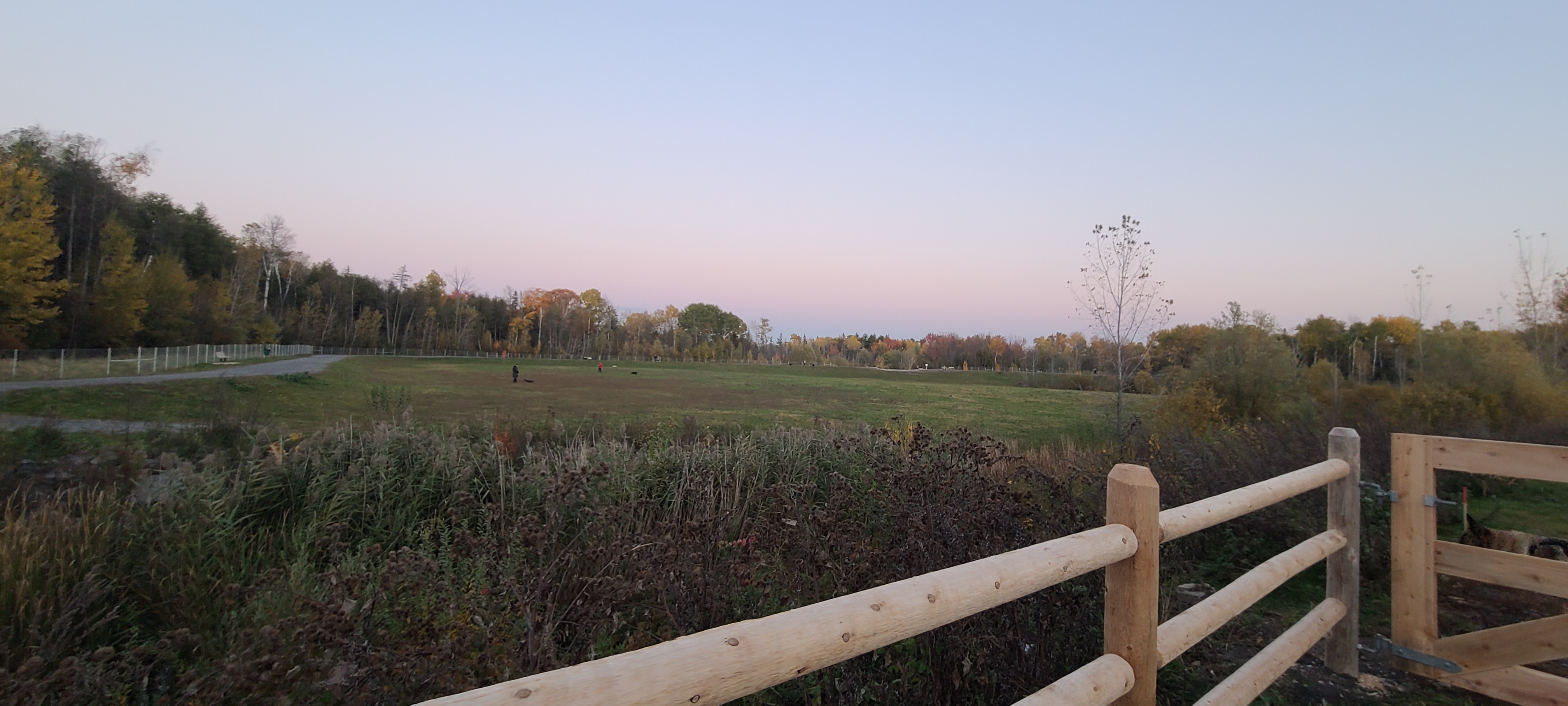 Aylmer Off-Leash Dog Park