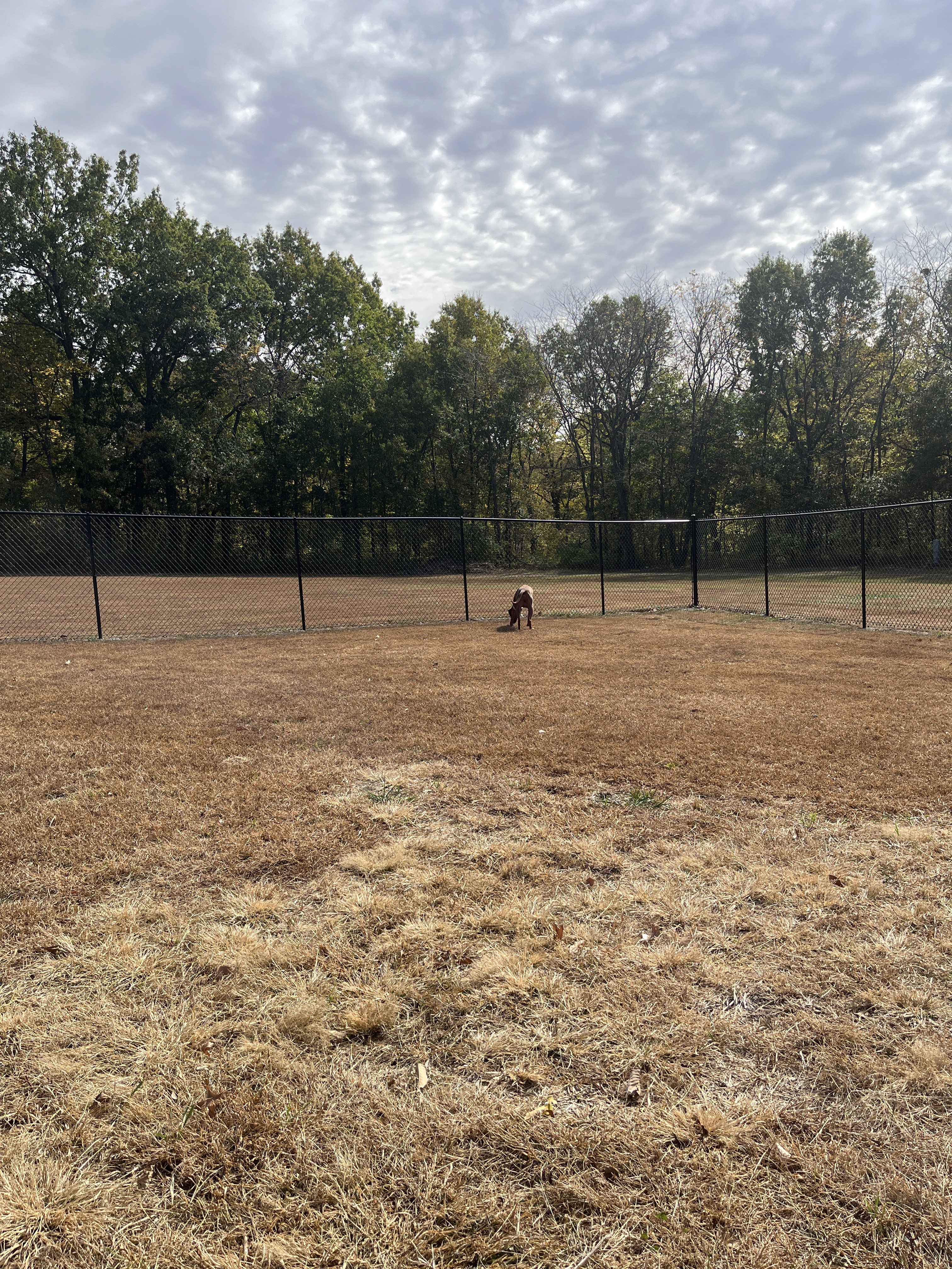 Jesse James Dog Park