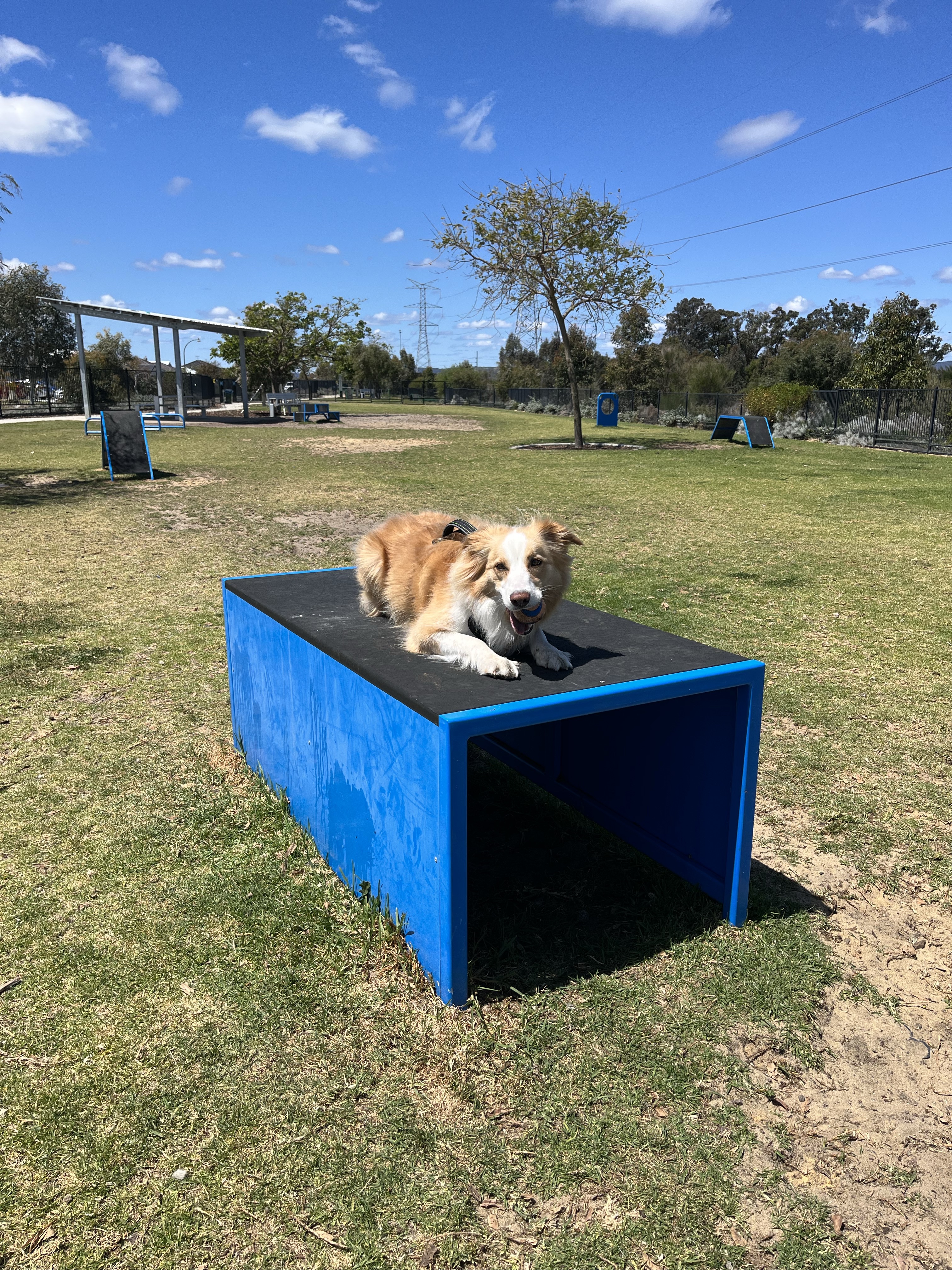 Newhaven Dog Park