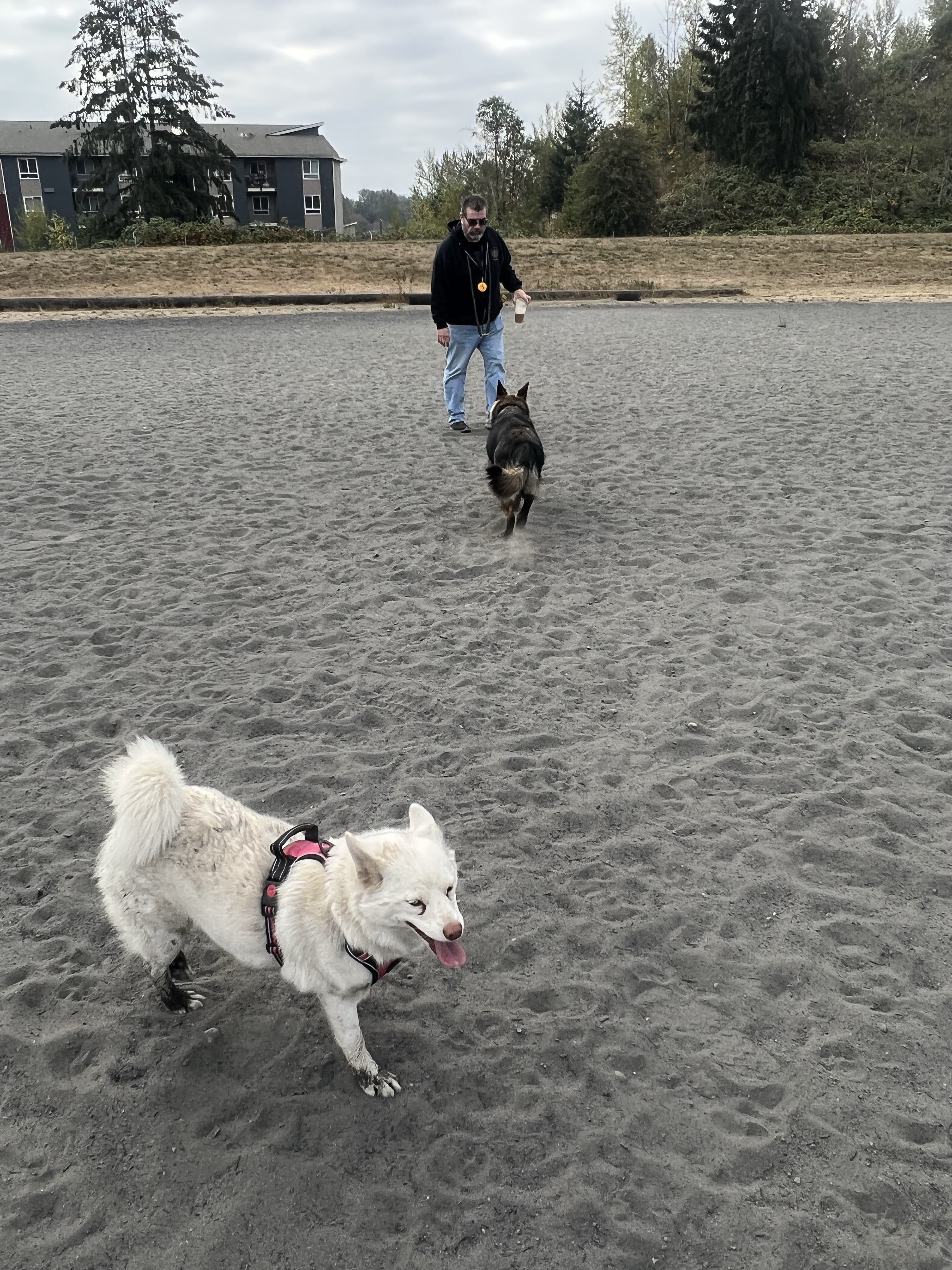 Grandview Off-Leash Dog Park