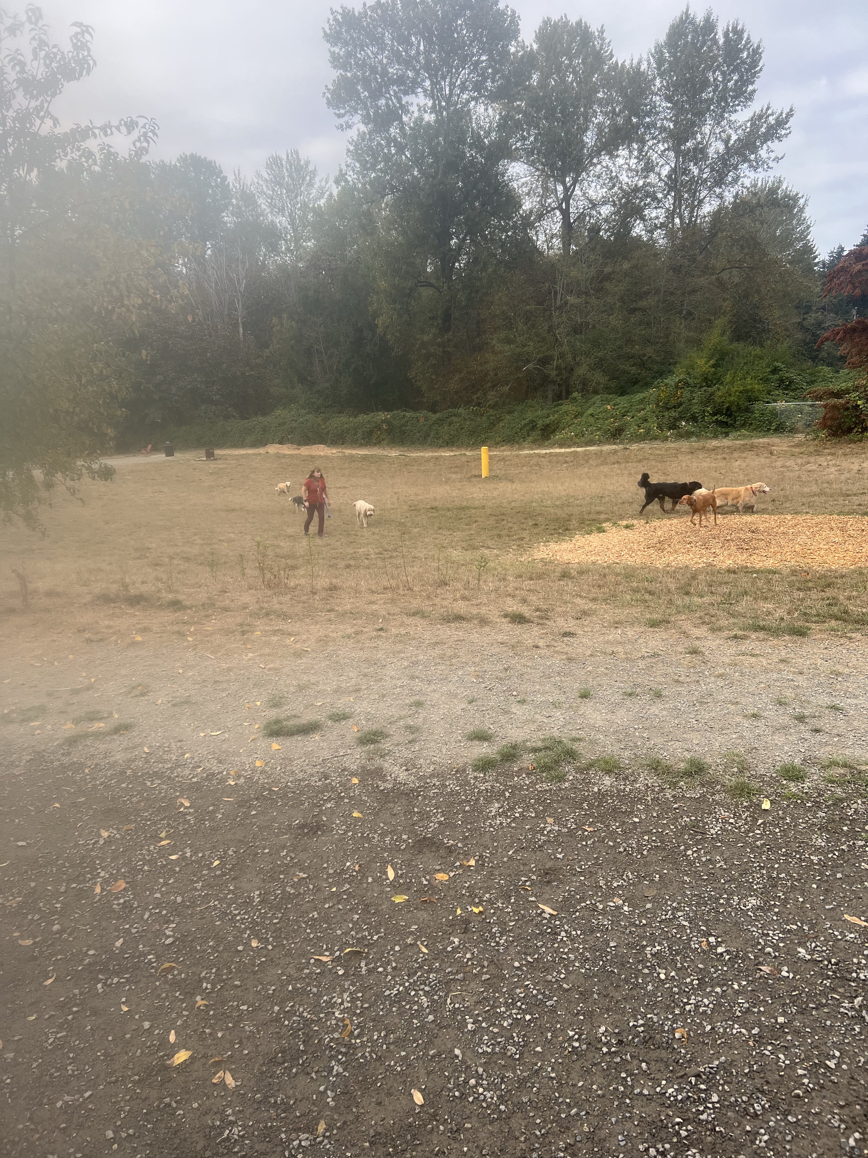 Grandview Off-Leash Dog Park