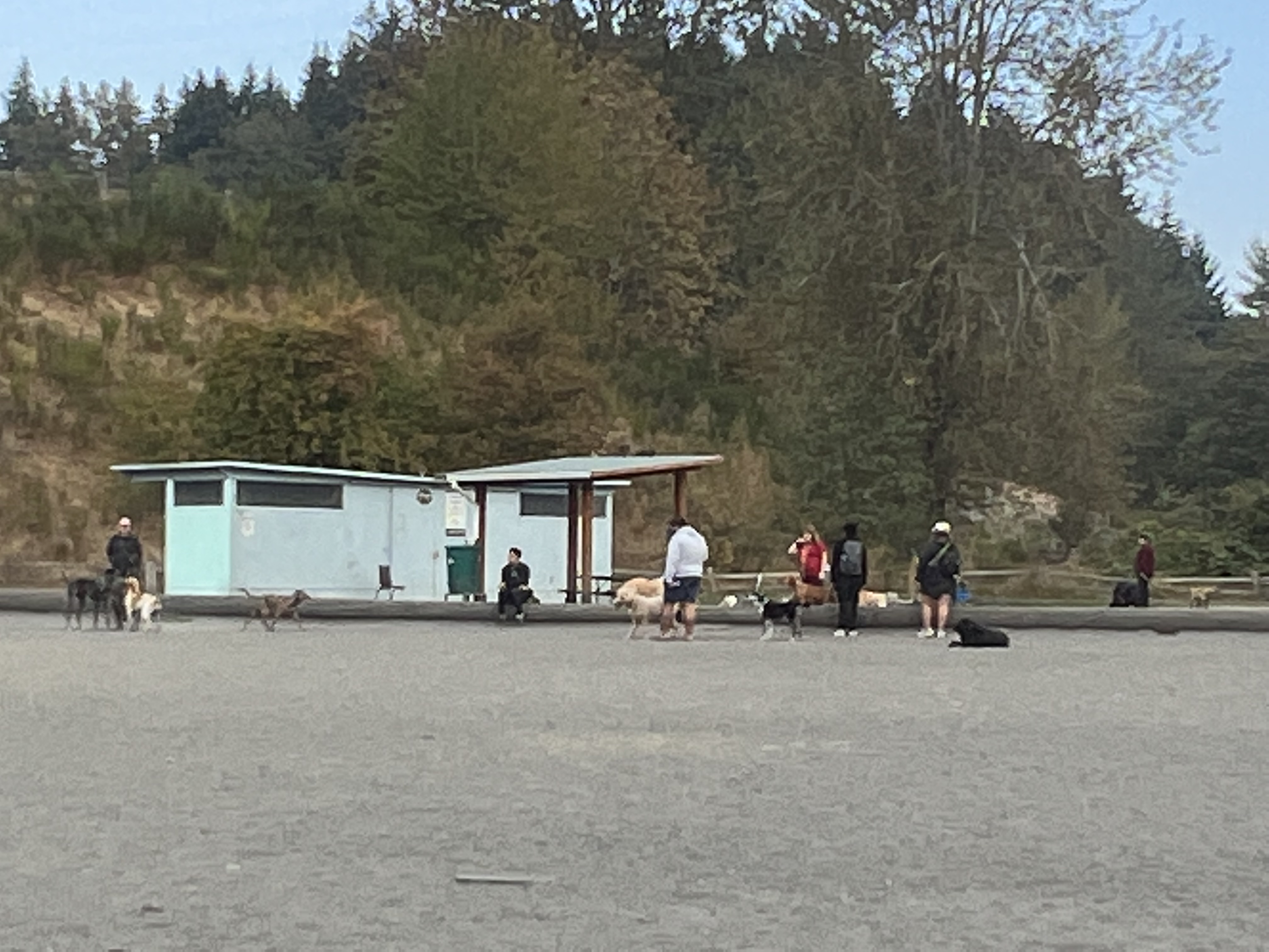 Grandview Off-Leash Dog Park