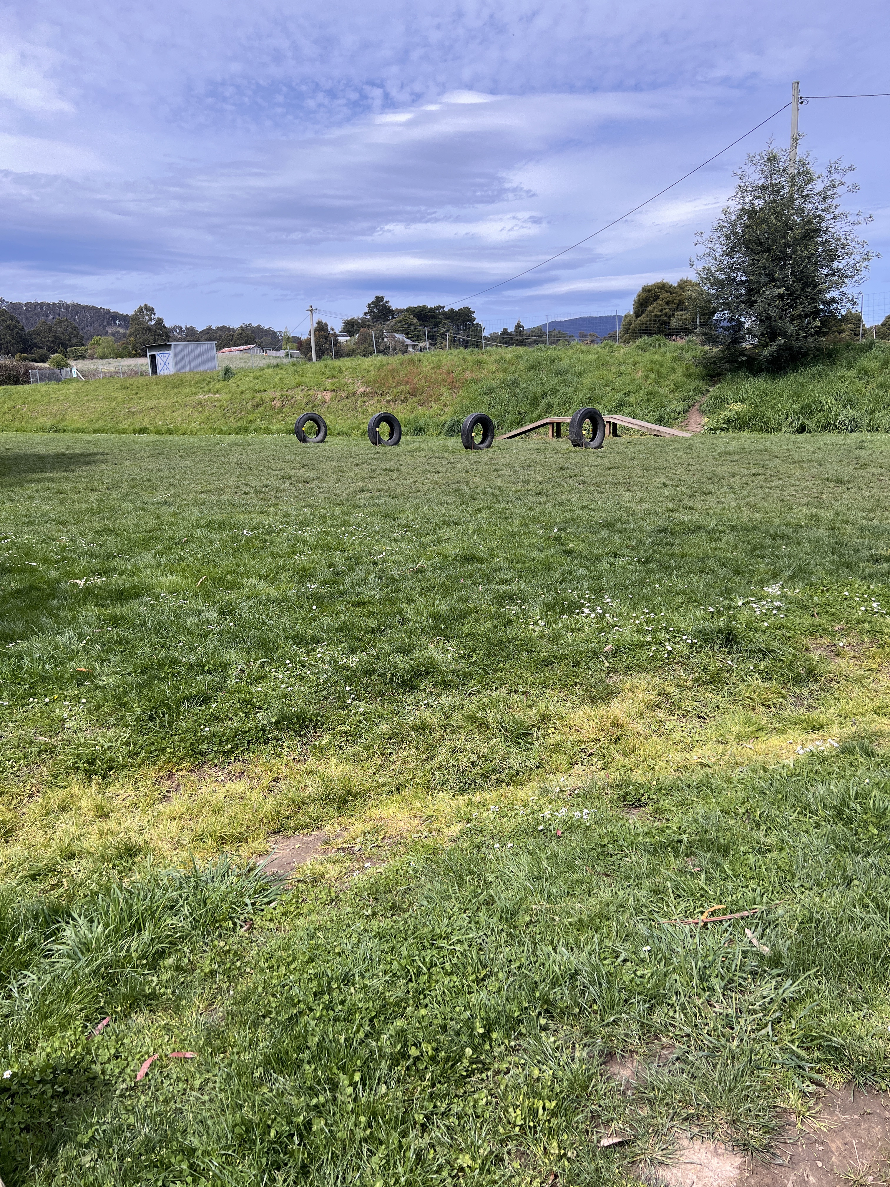 Cygnet Recreation Ground Dog Park