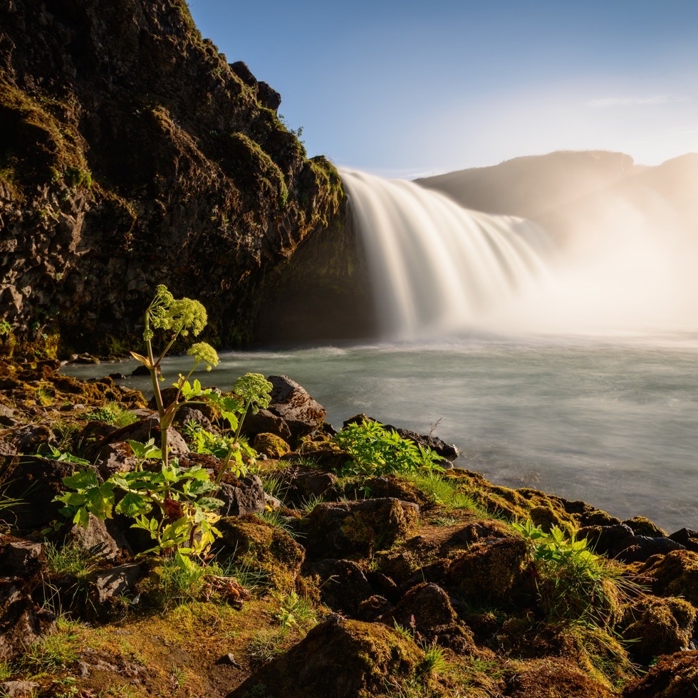 parc per a gossos Barcelona