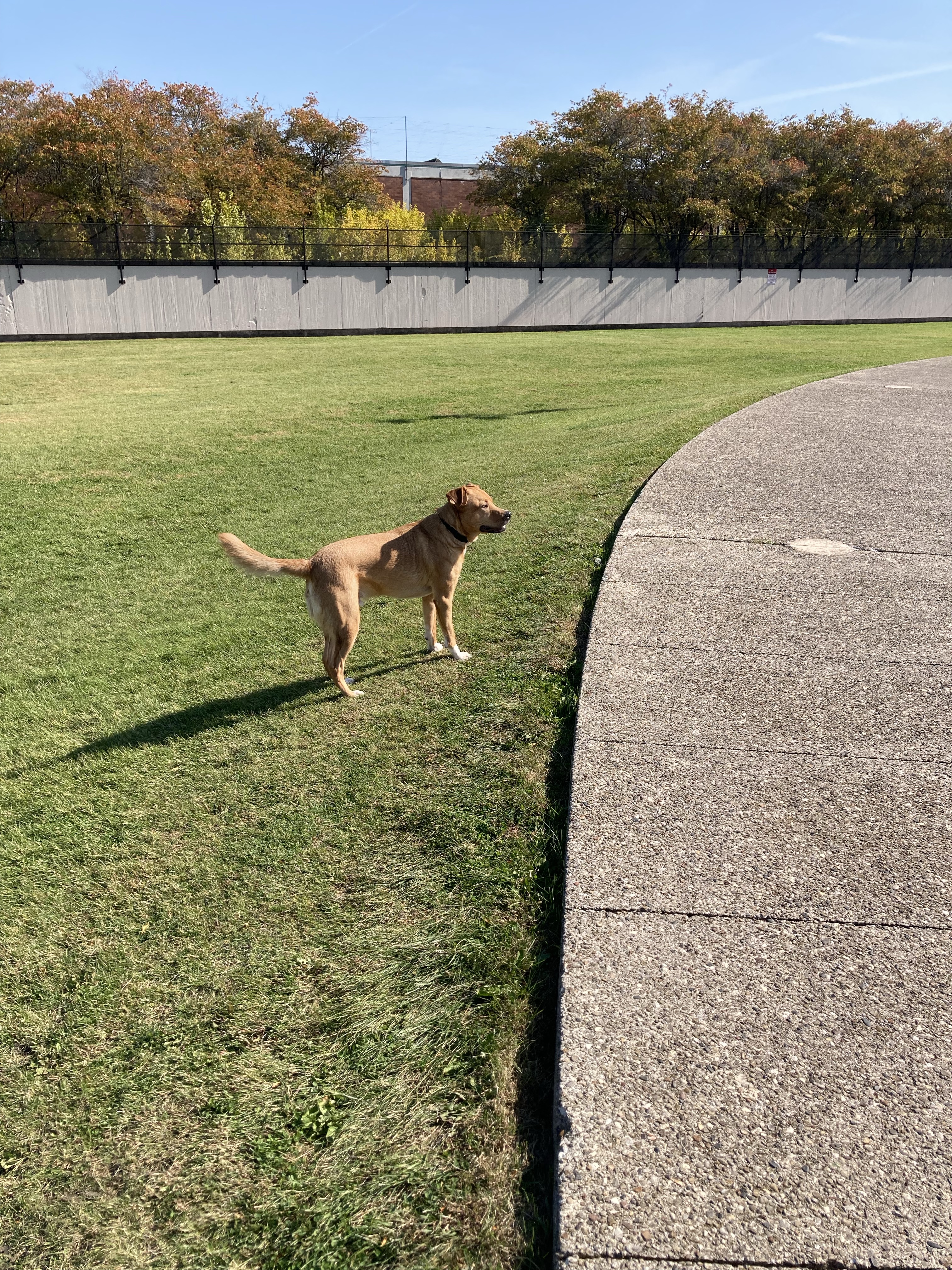 Milton Lee Olive Park