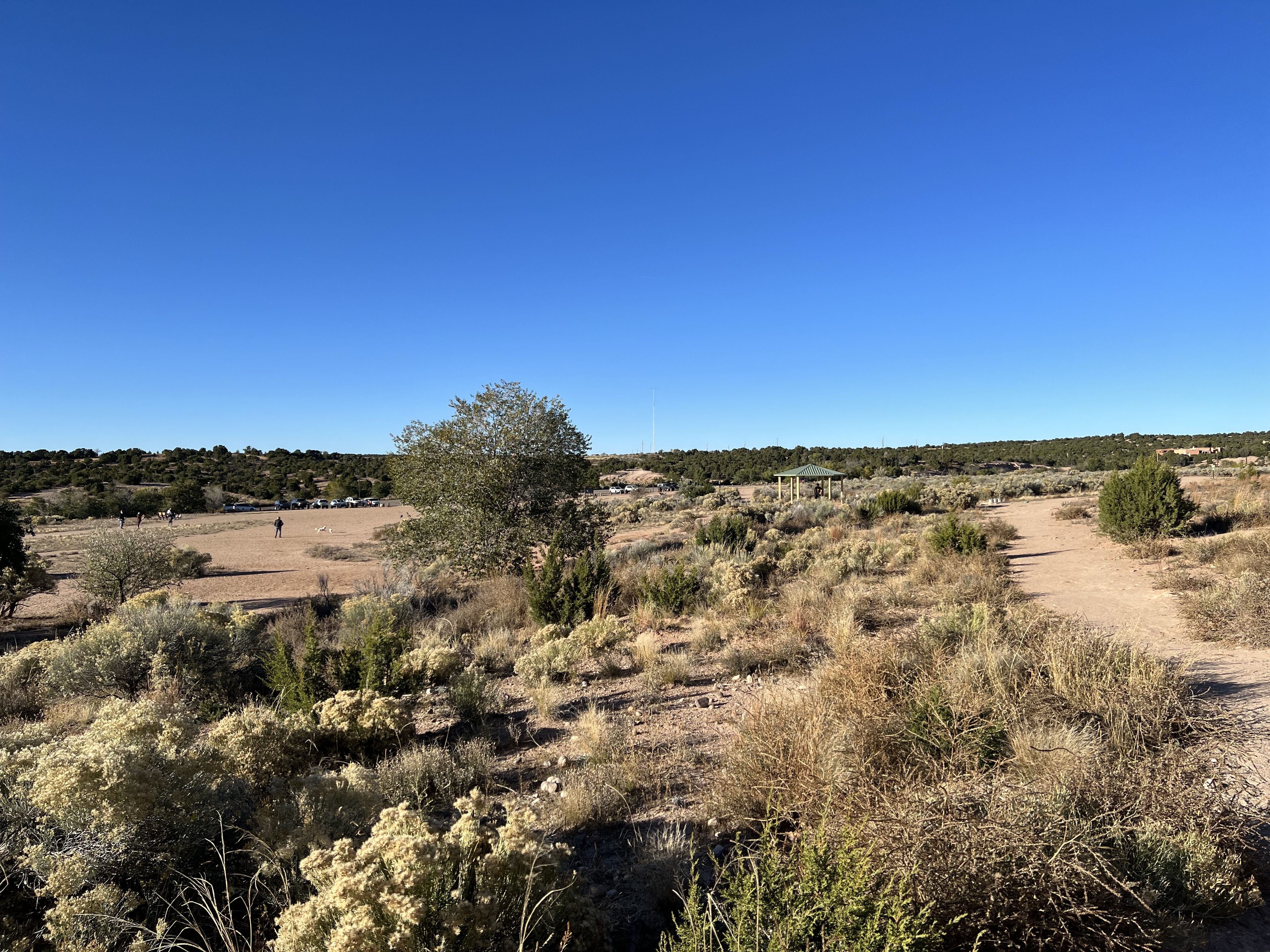 Frank S Ortiz Dog Park