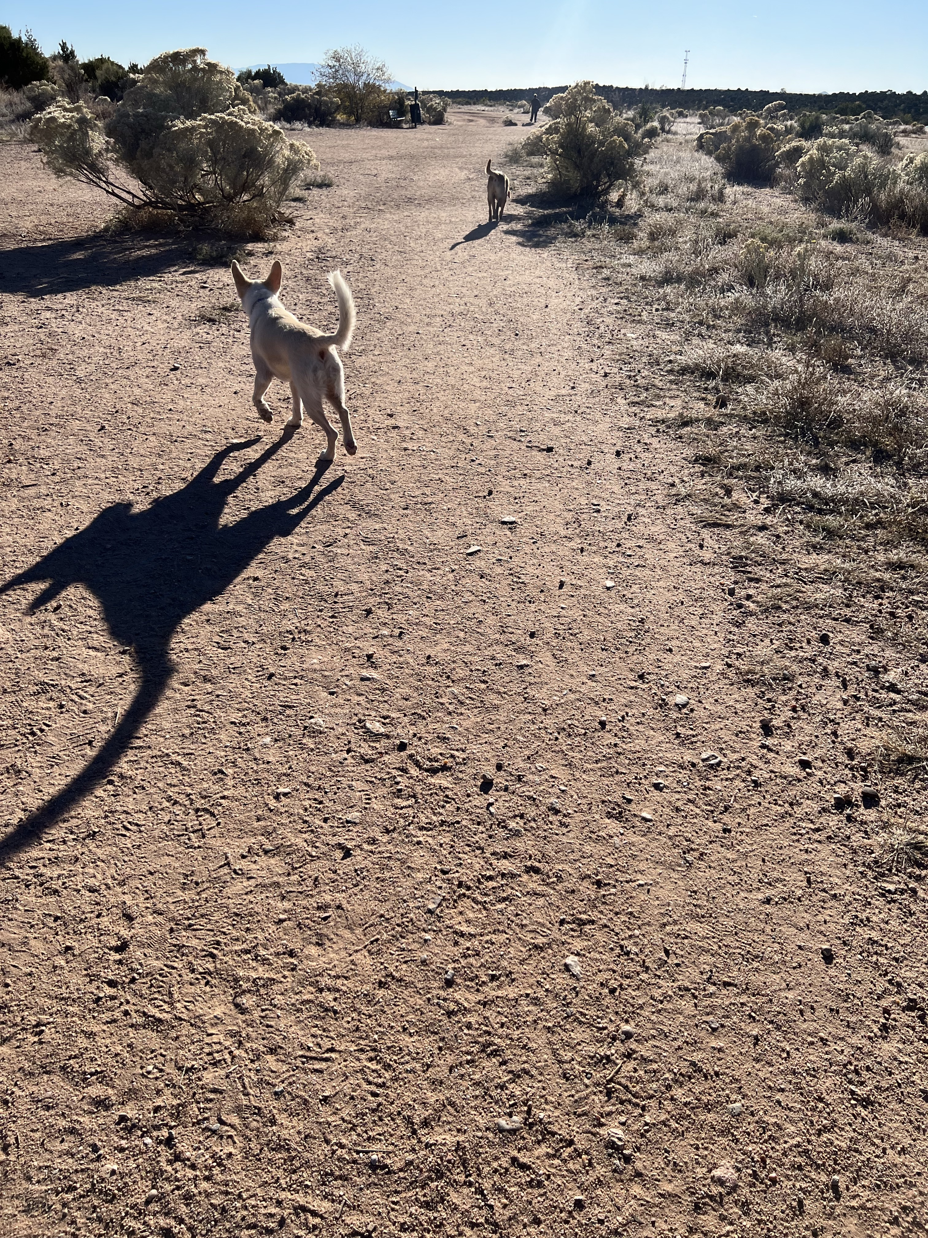 Frank S Ortiz Dog Park