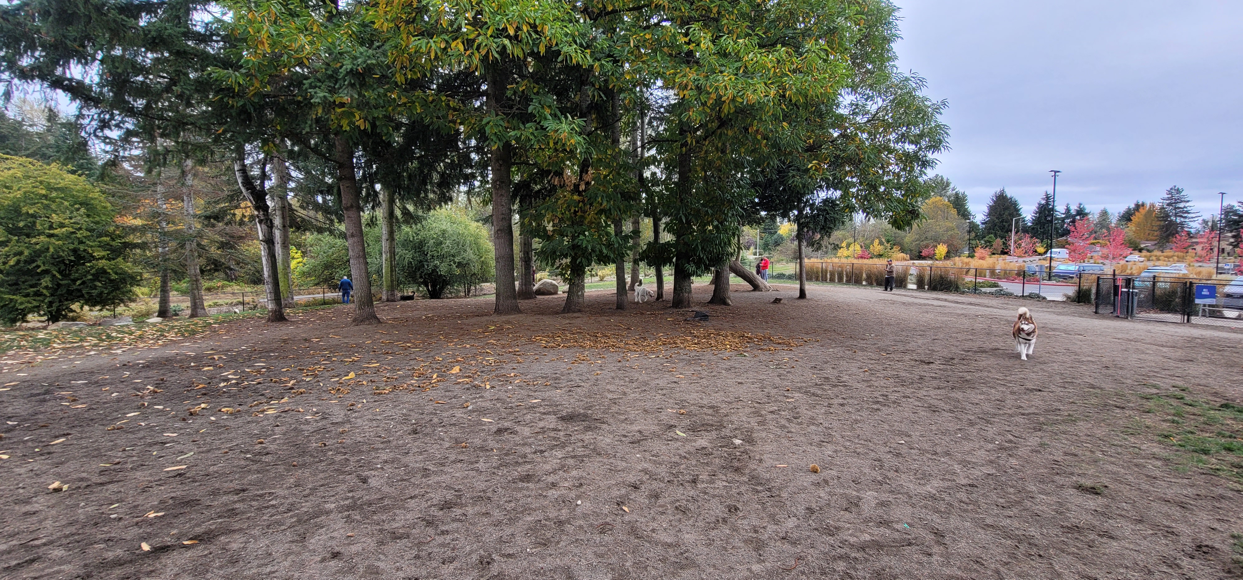 Morrill Meadows Park