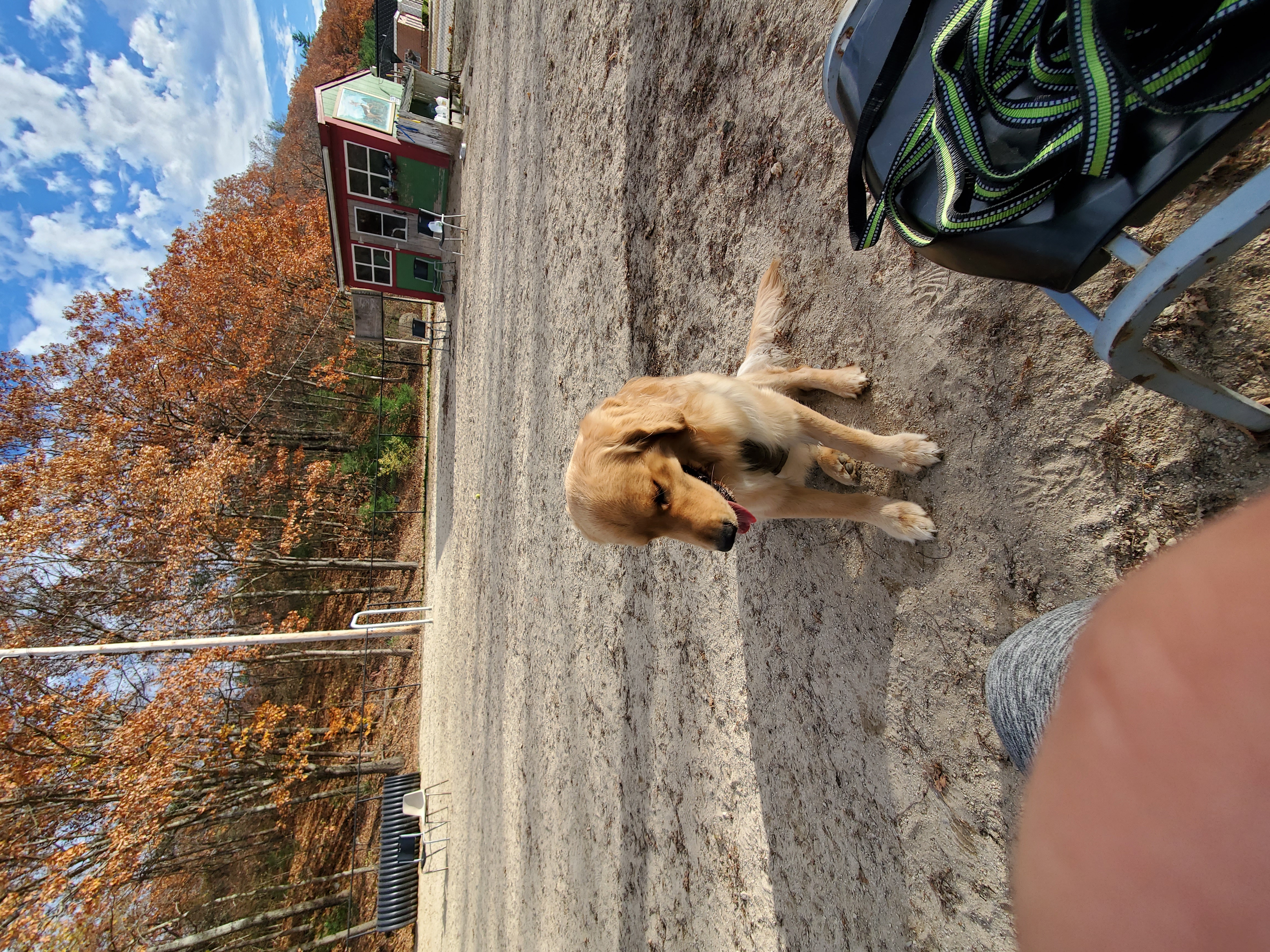 Hooksett Dog Park