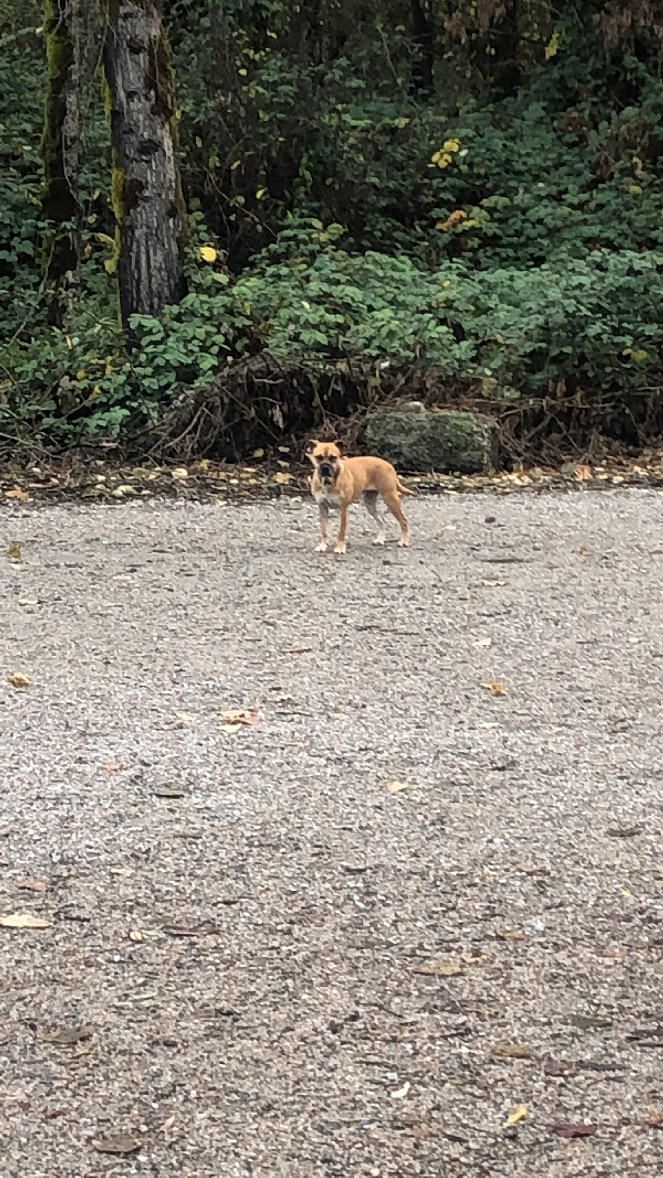 Everett Crowley Park