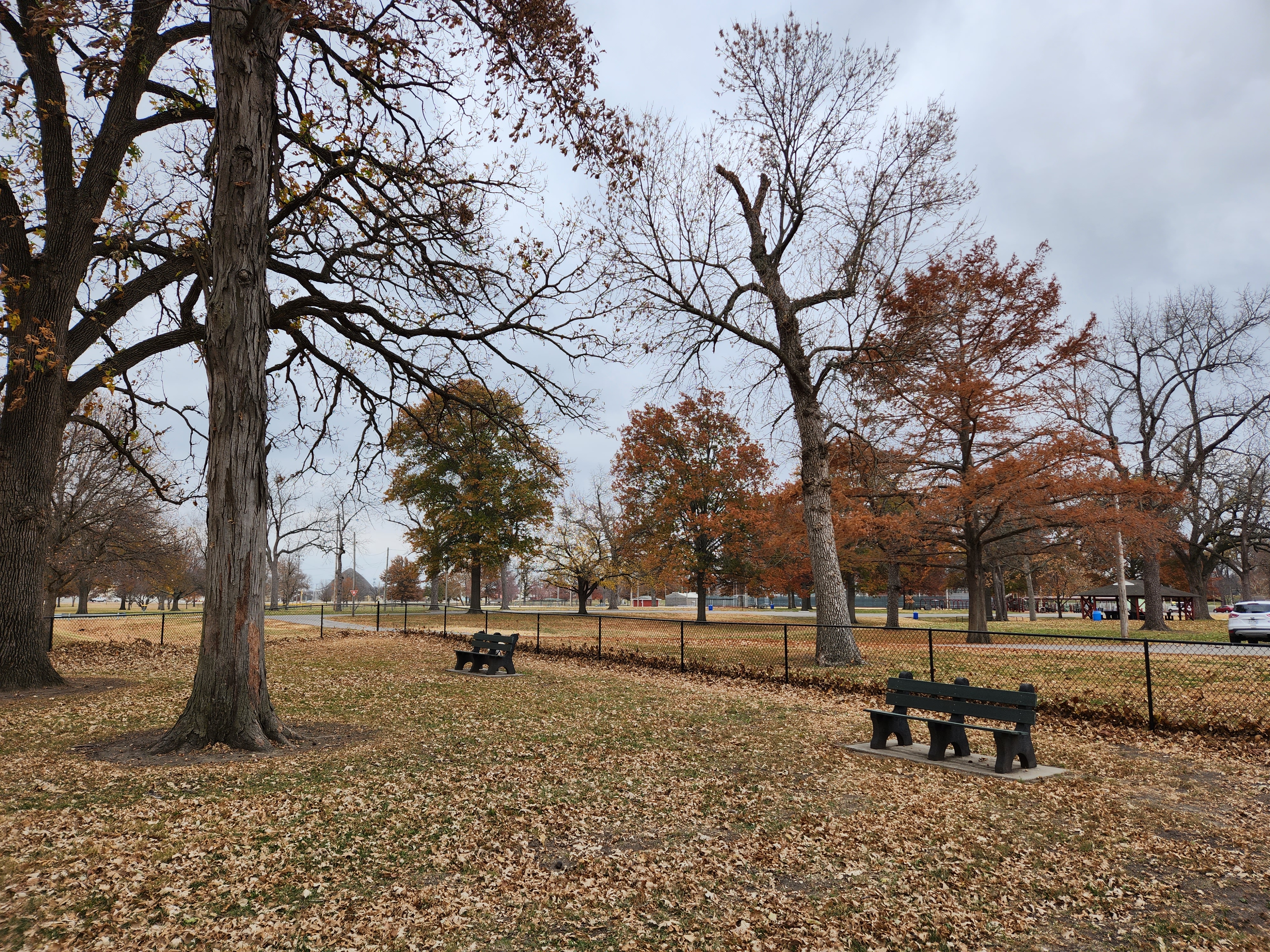 Forest Park Bark Park