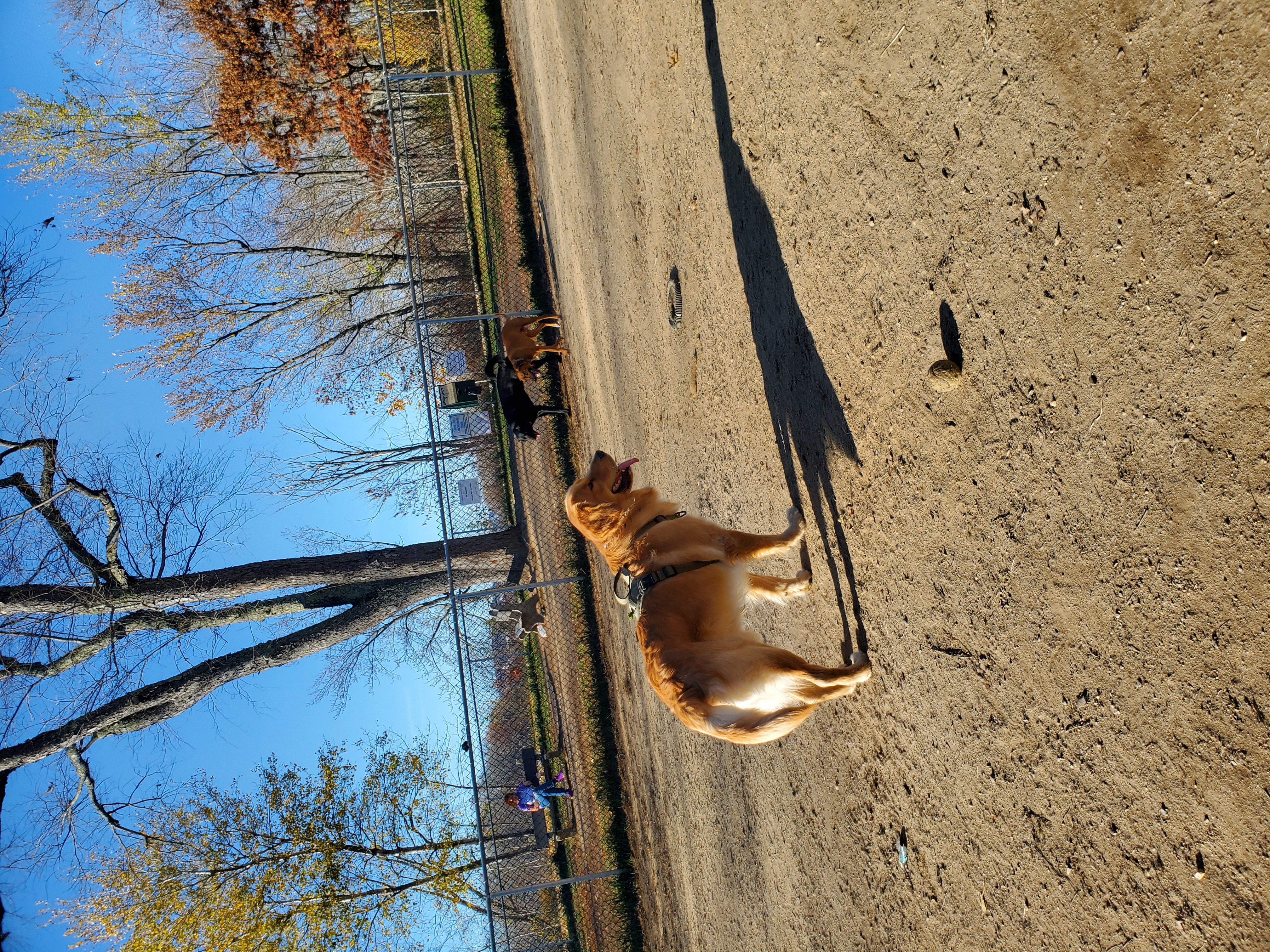 Terrill Park Dog Park