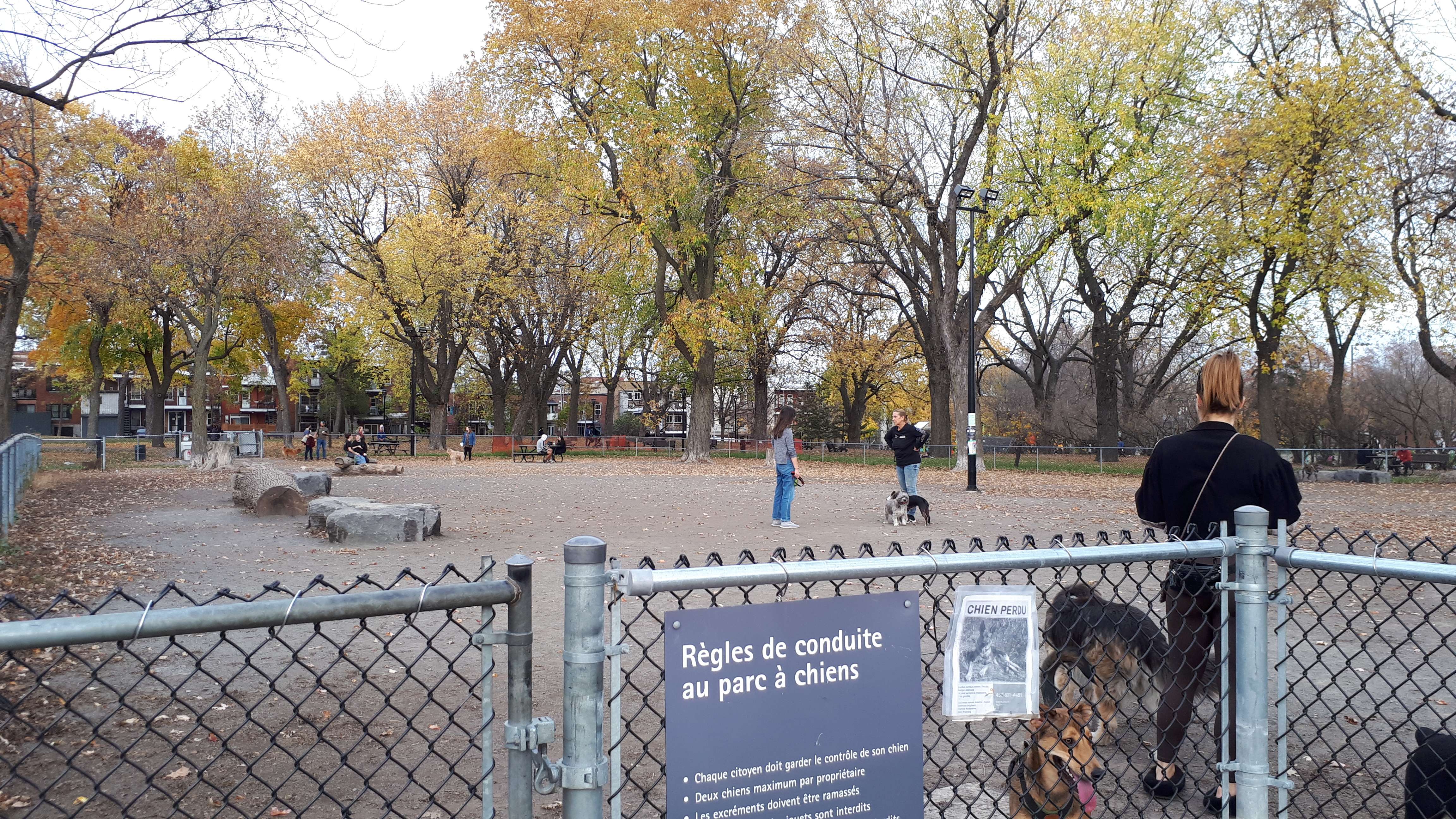 Parc à chiens Lalancette