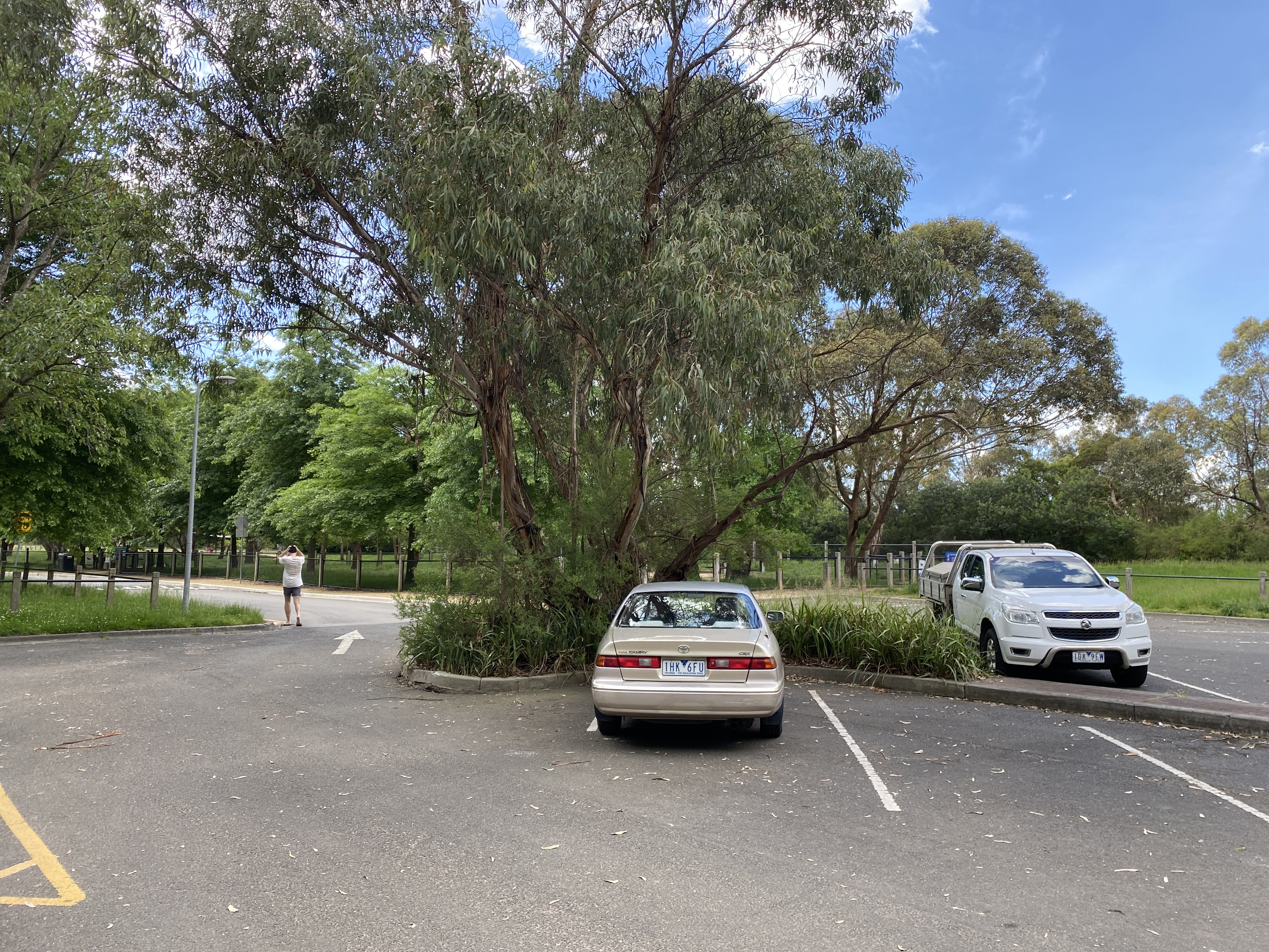 Tirhatuan Park Fenced Dog Park