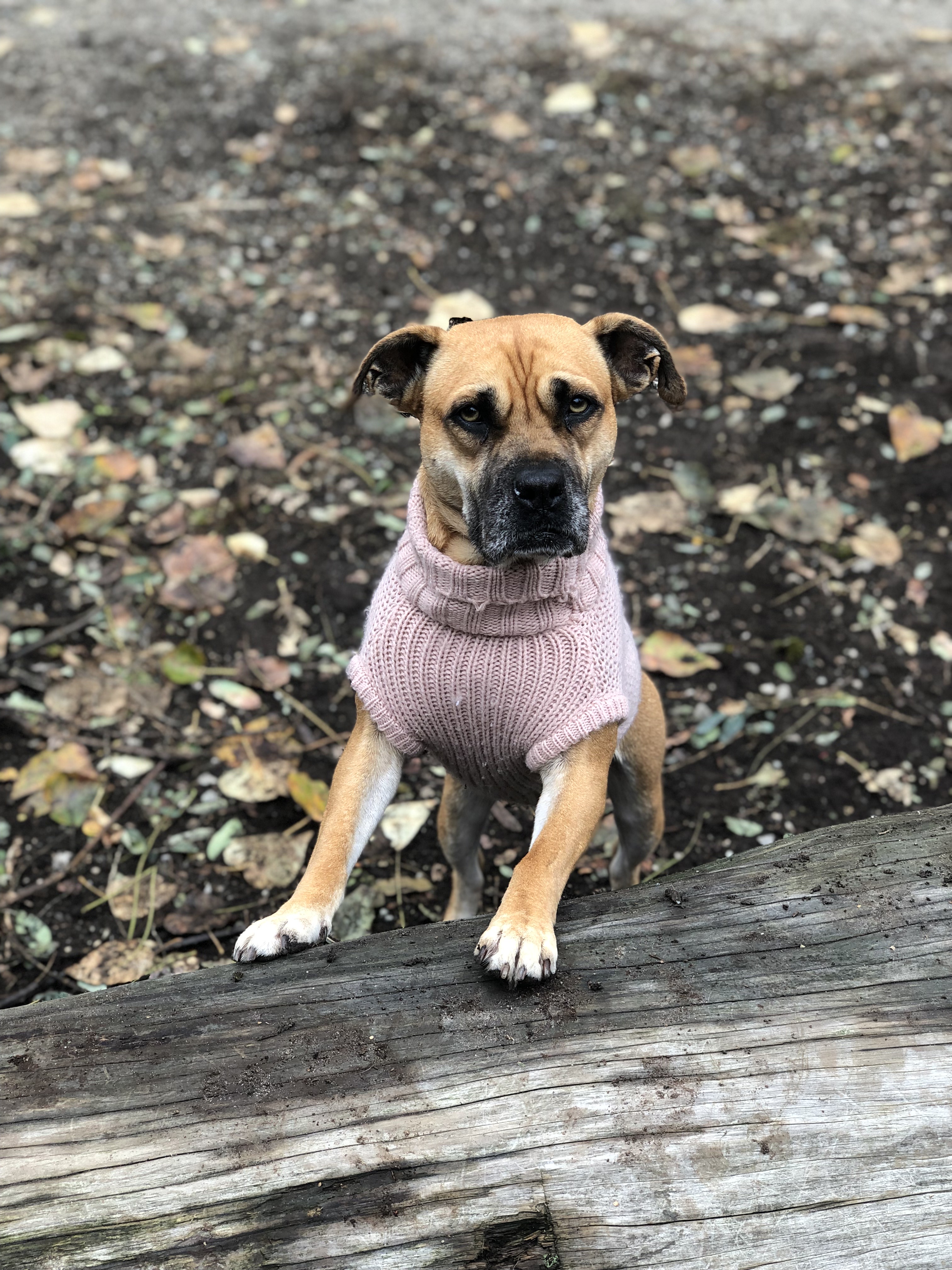 Everett Crowley Park