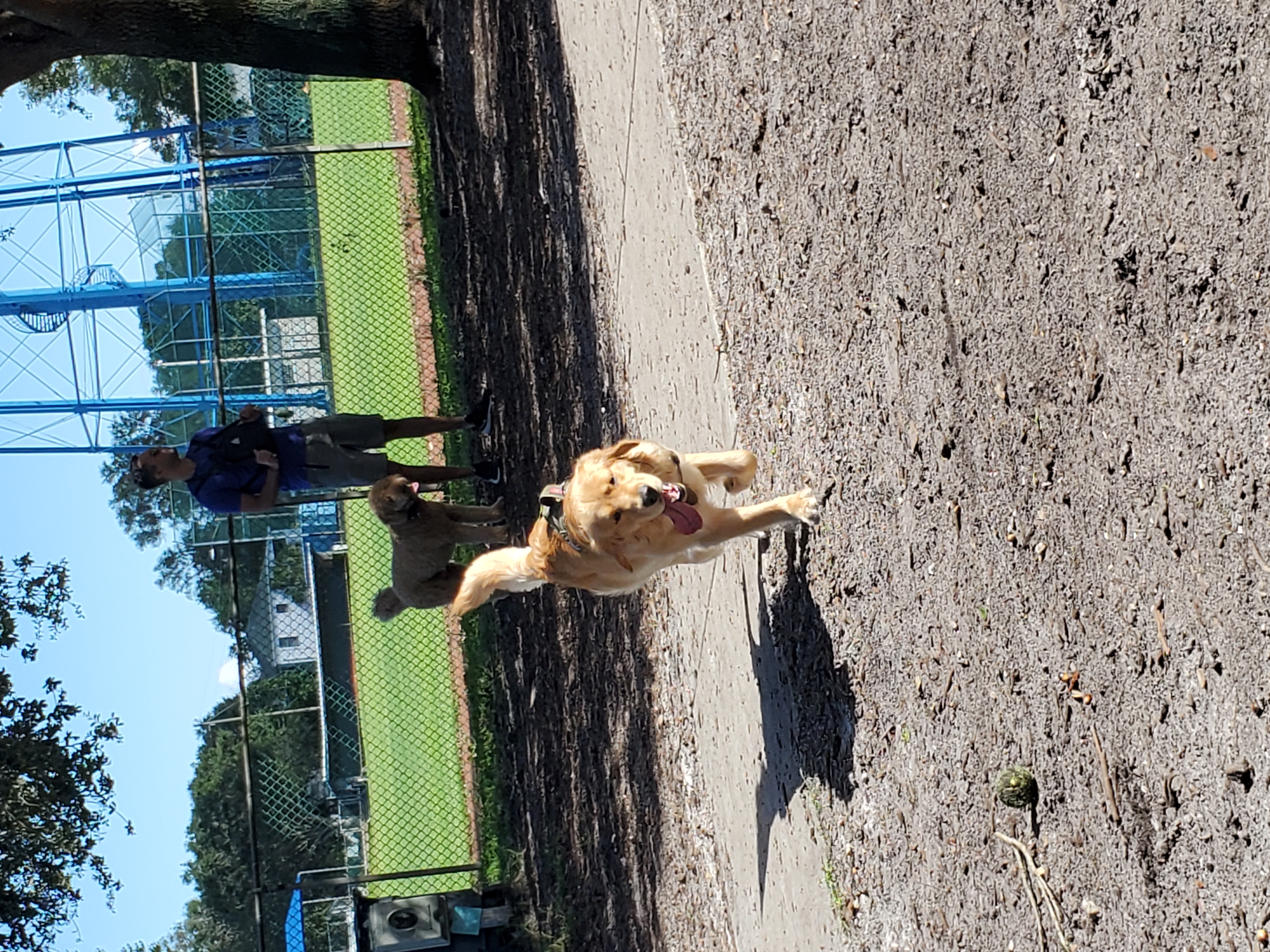 Crescent Lake Dog Park