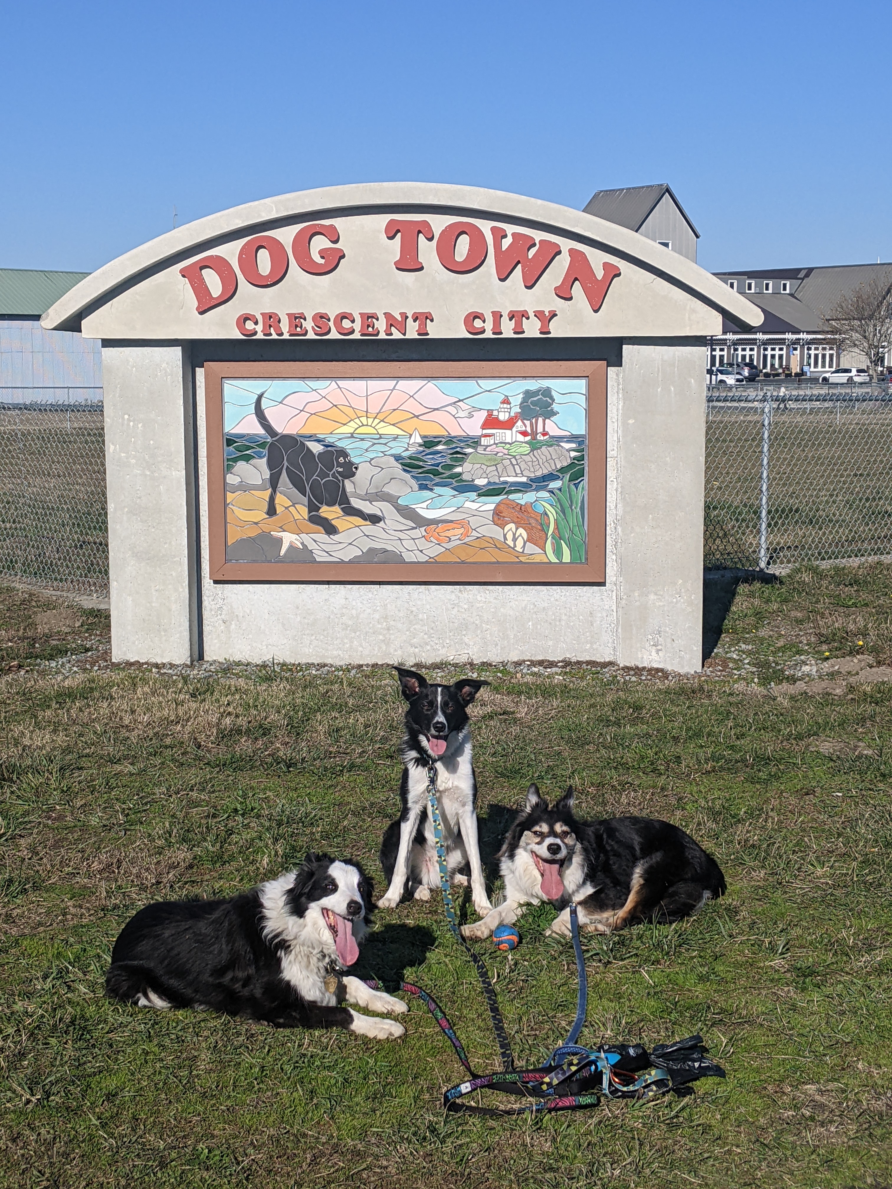 Crescent City Dog Park