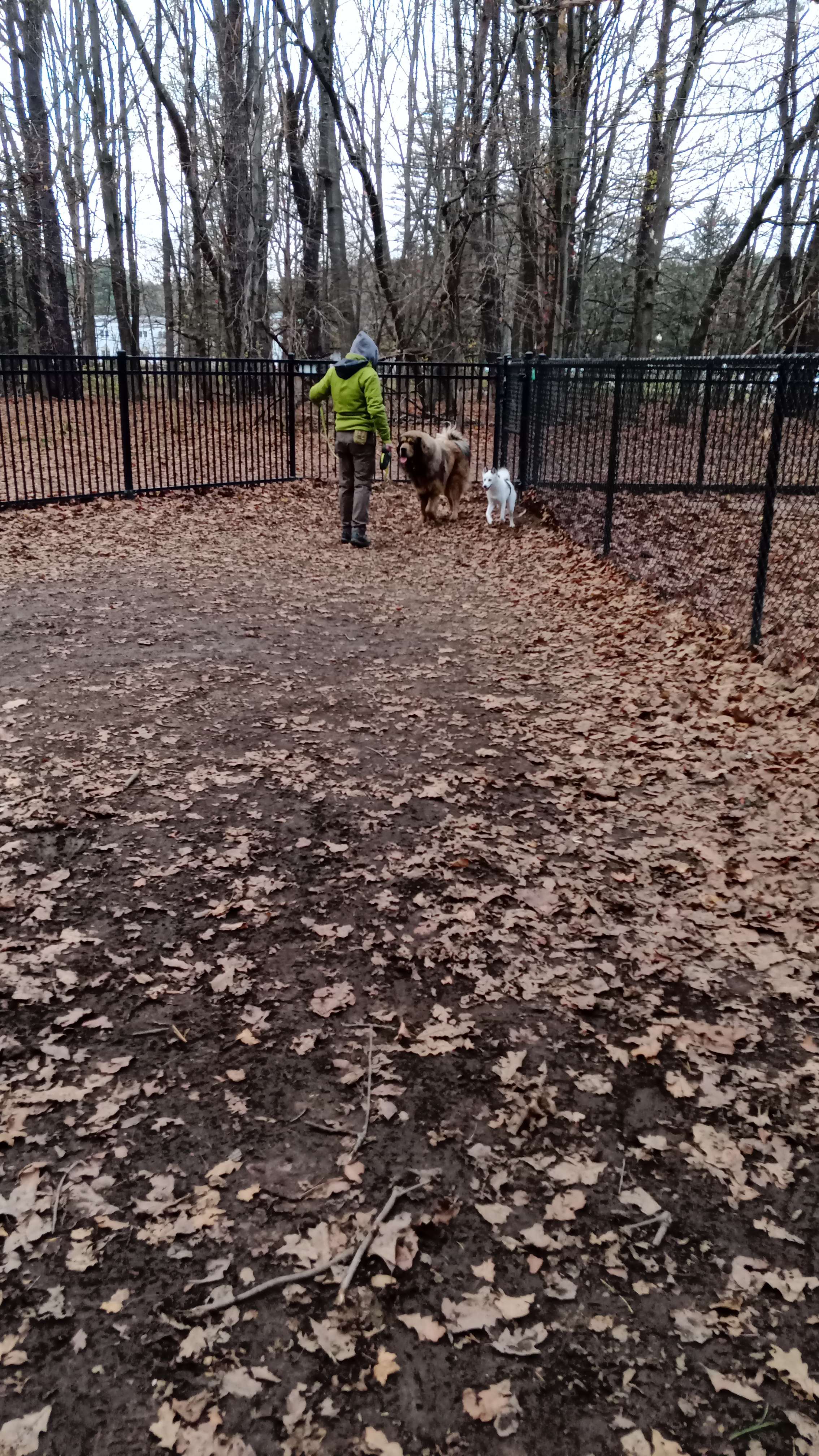 Saratoga Springs Dog Park