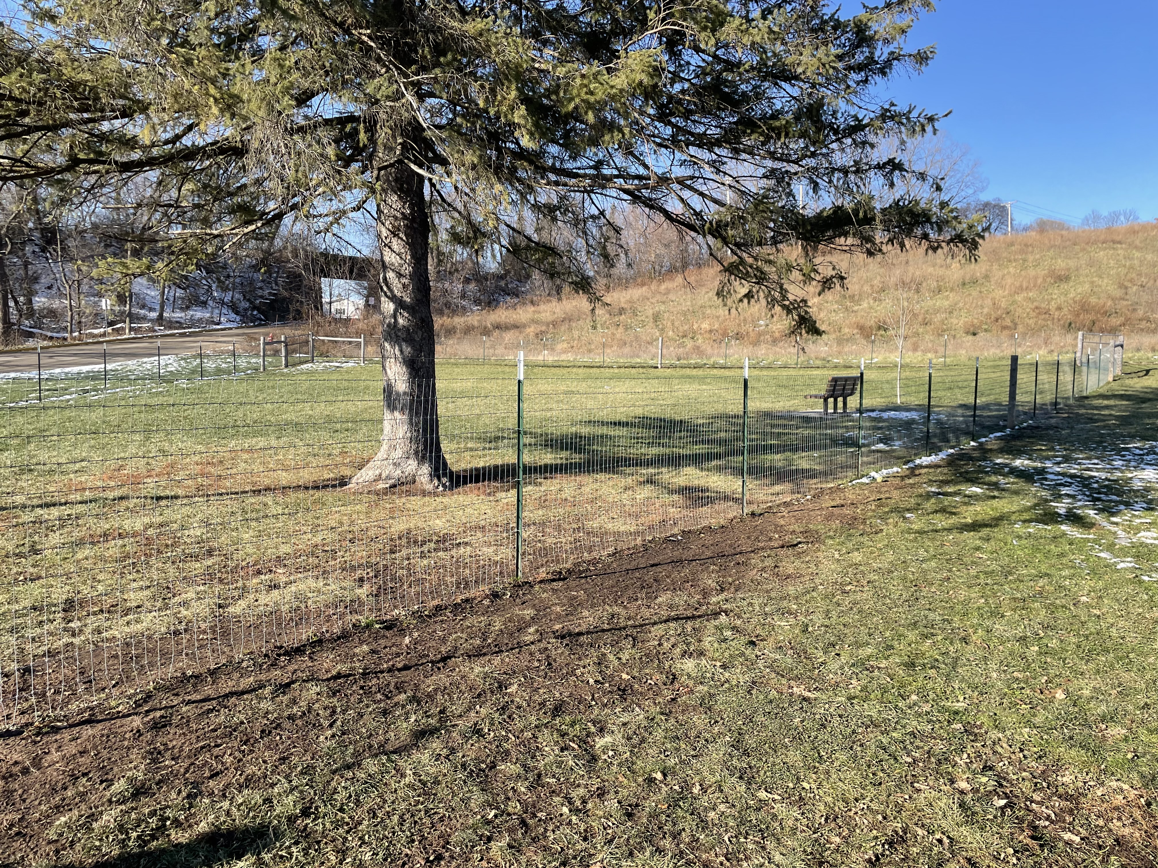 Liston Dog Park