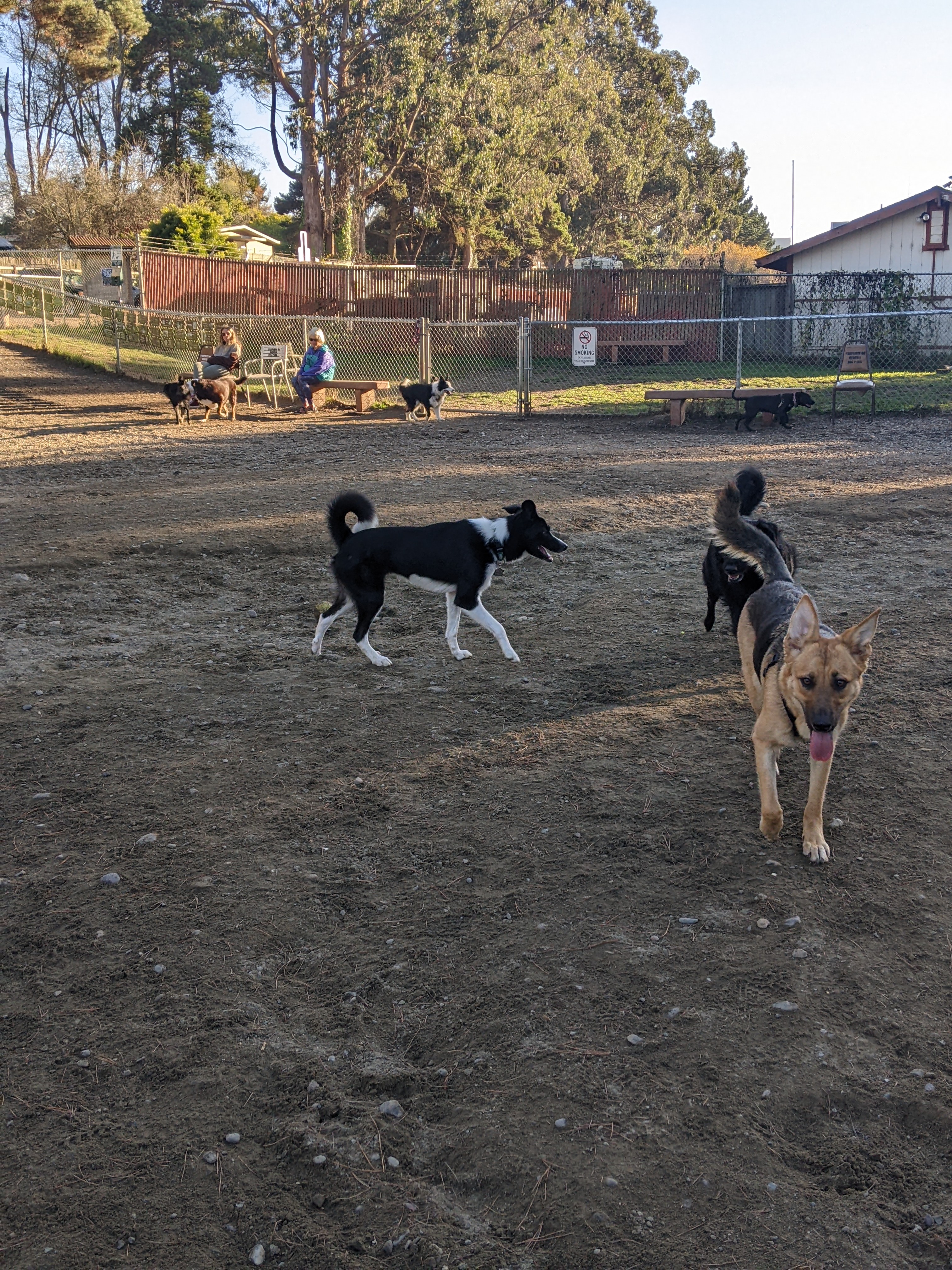 Eureka Dog Park