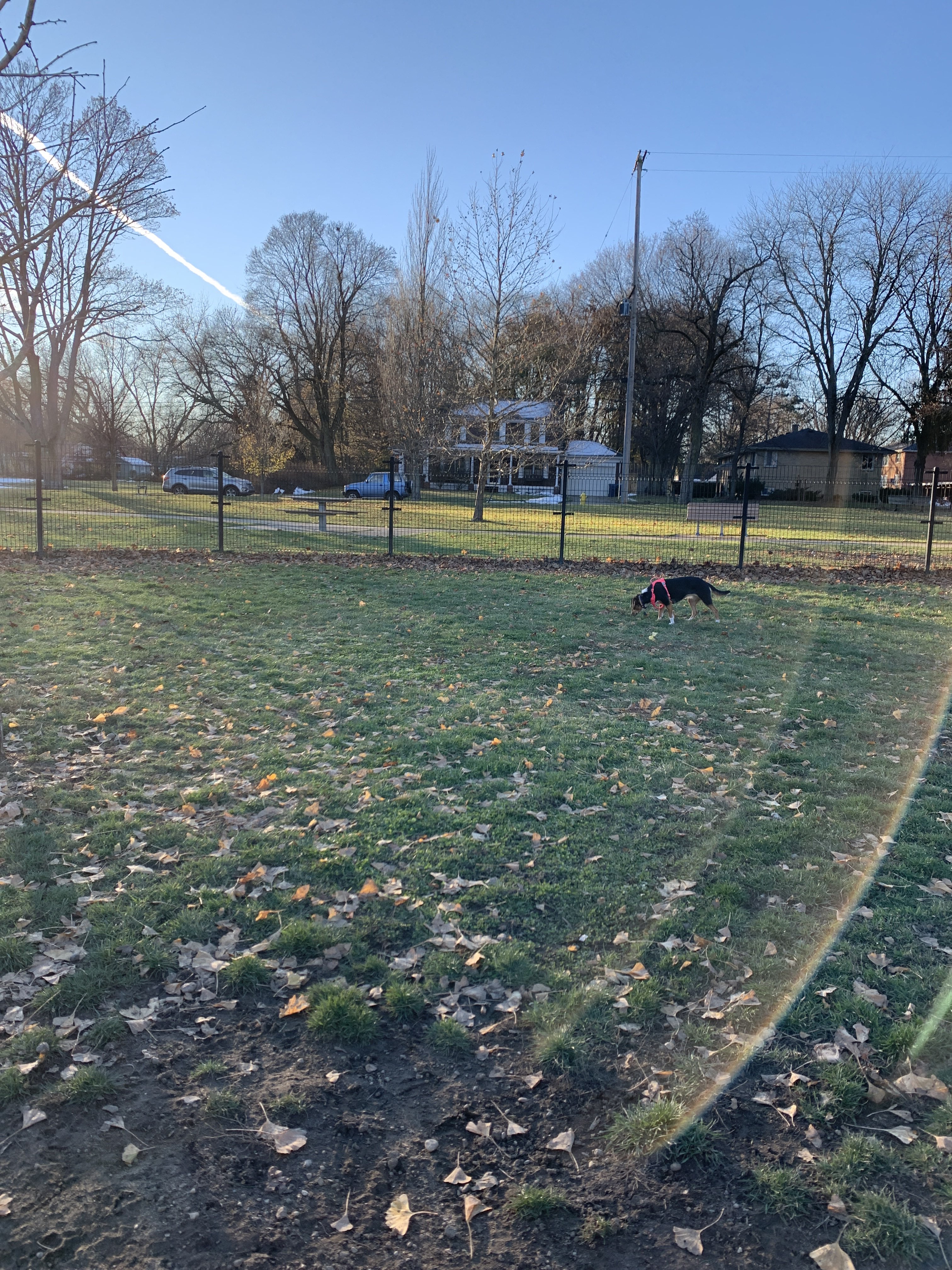 Fairmount Dog Park