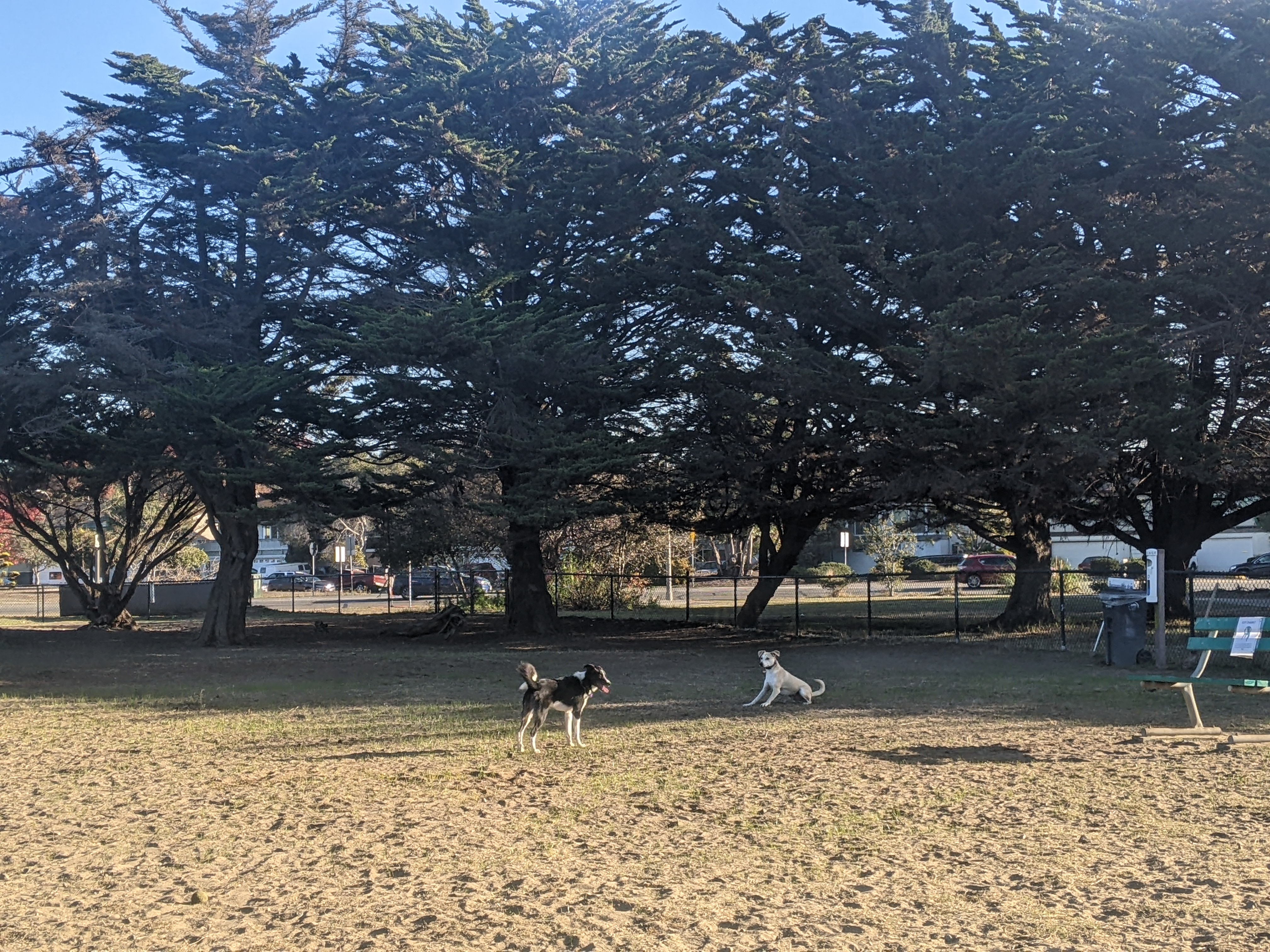 Alameda Dog Park
