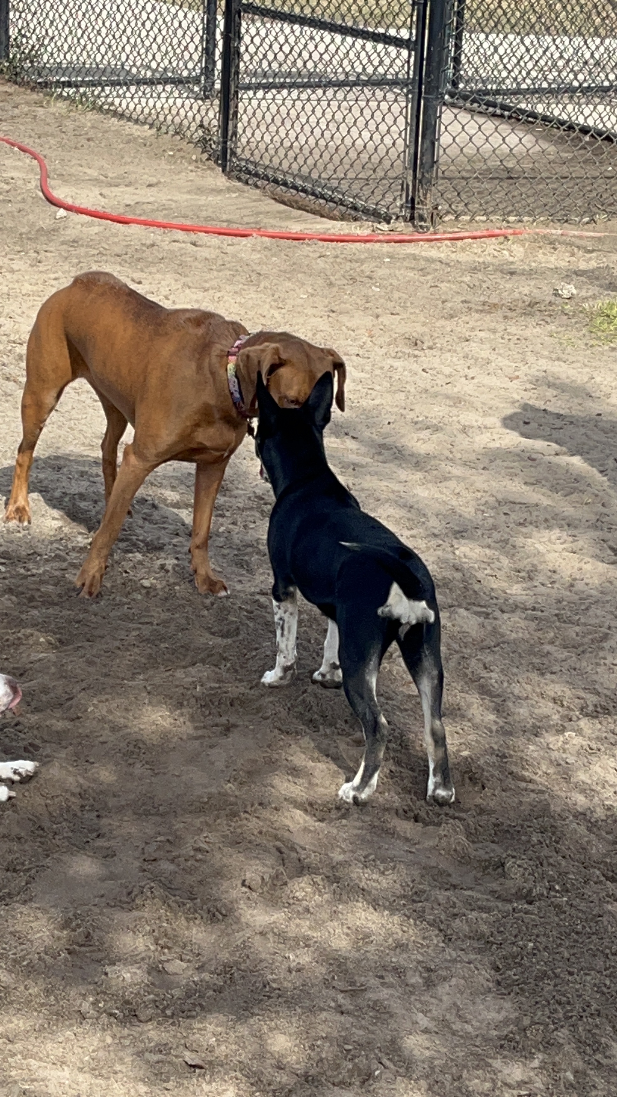 Northeast Regional Park