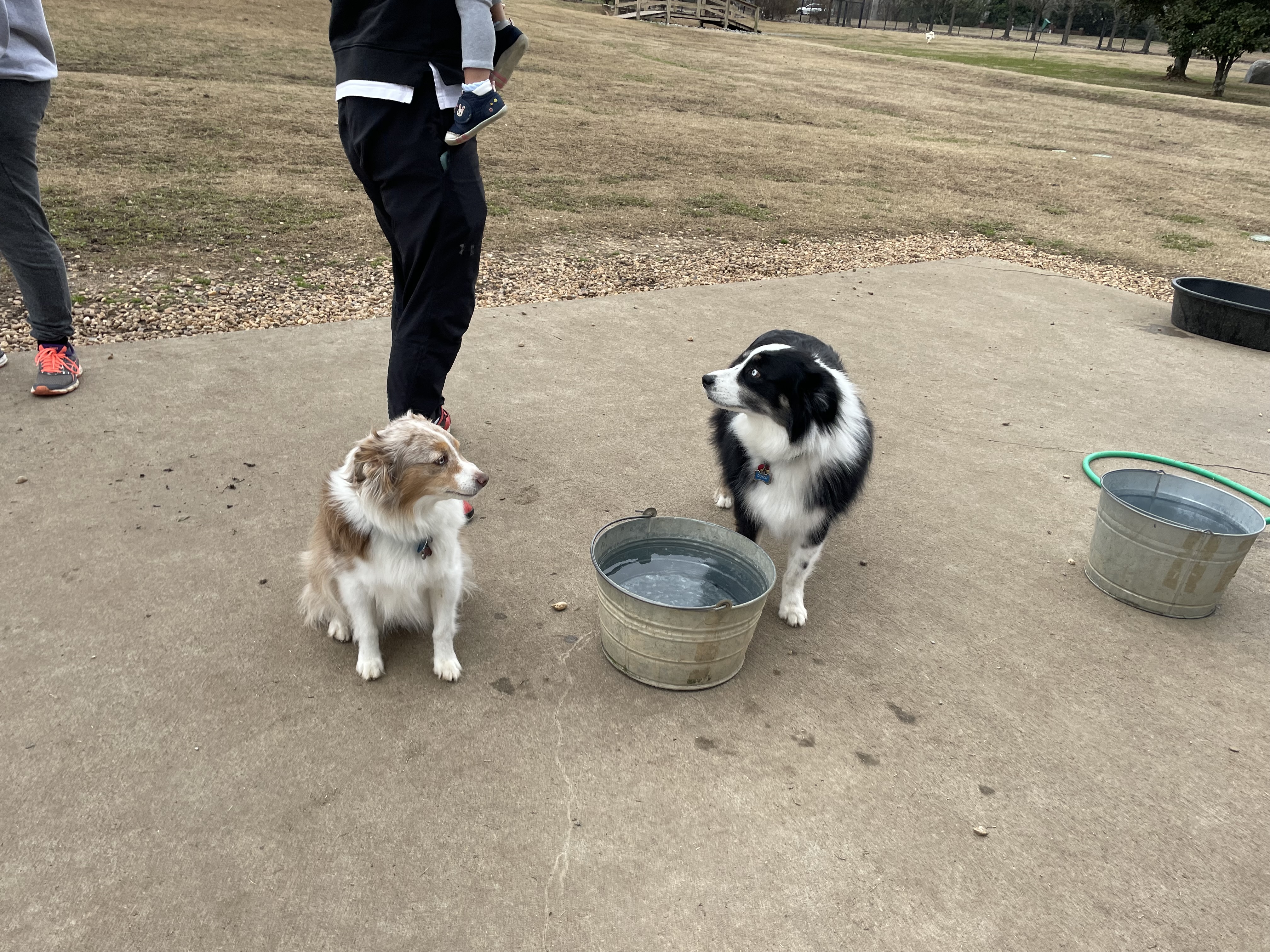 Hannah Daye Ridling Bark Park