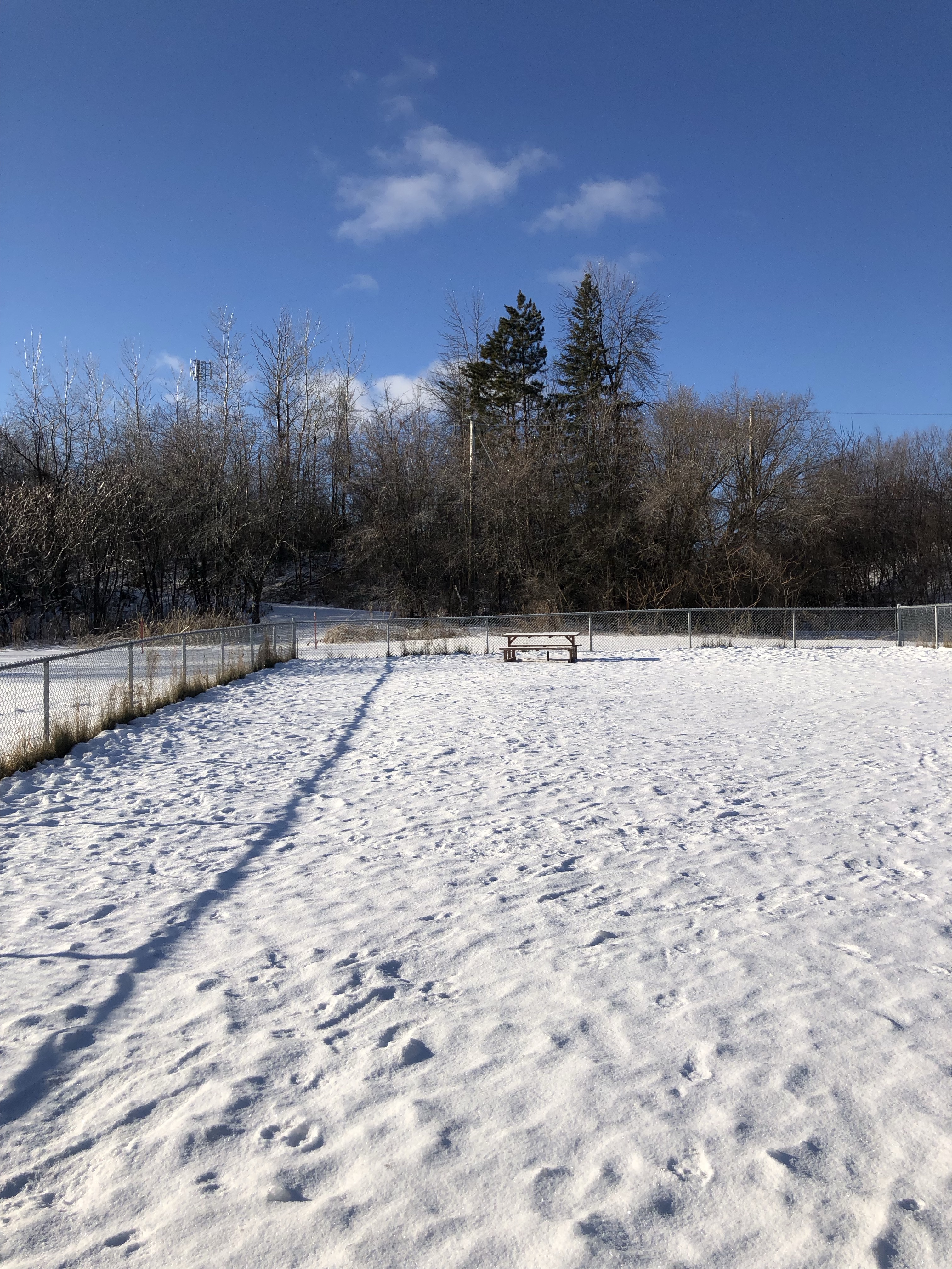 Global Pet Foods Dog Park