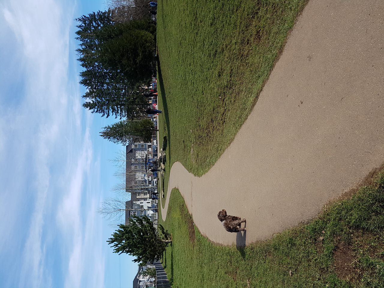 Clayton Off Leash Dog Park