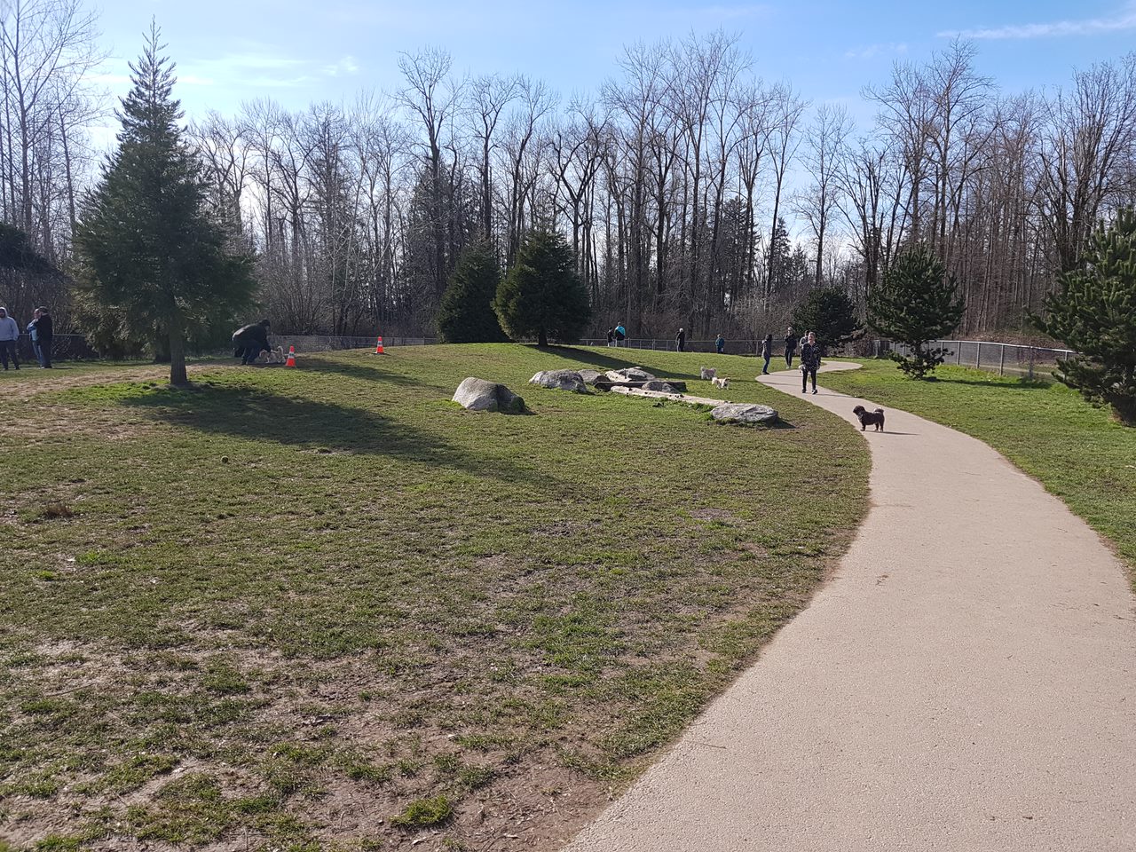 Clayton Off Leash Dog Park