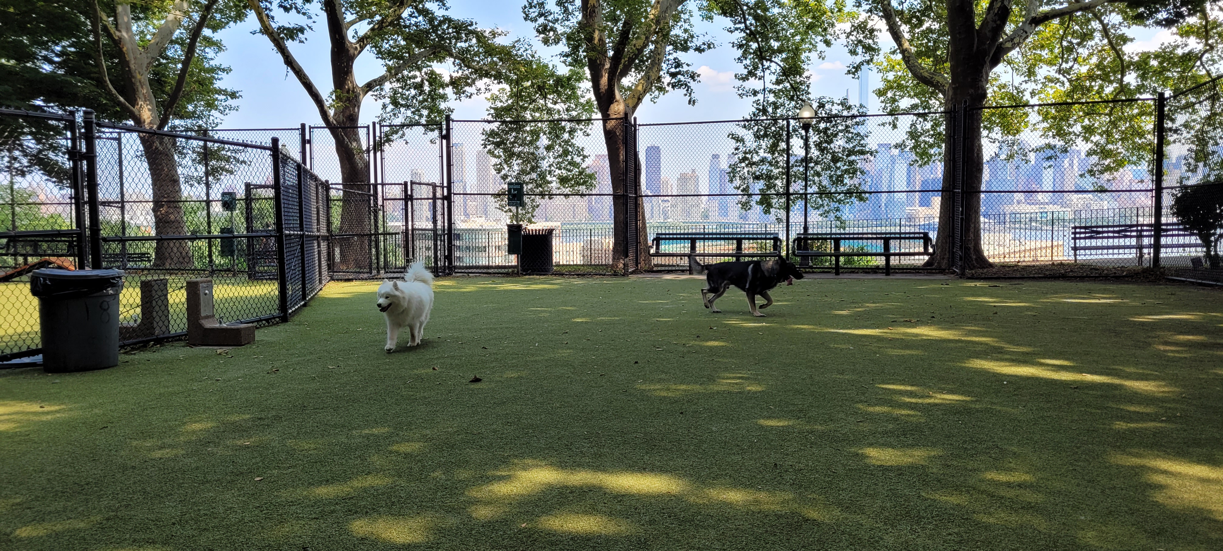 West New York Dog Park