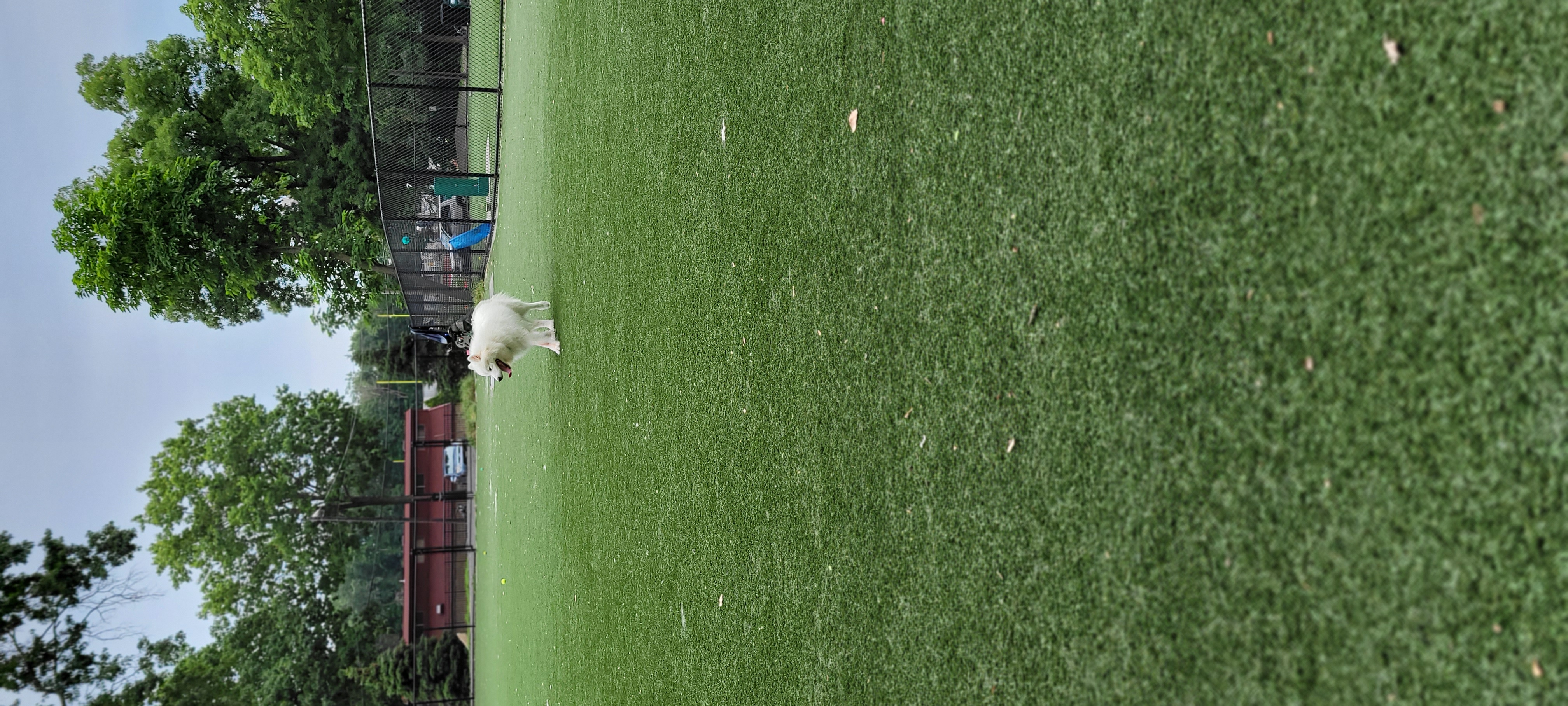 North Hudson County Park - Dog Park