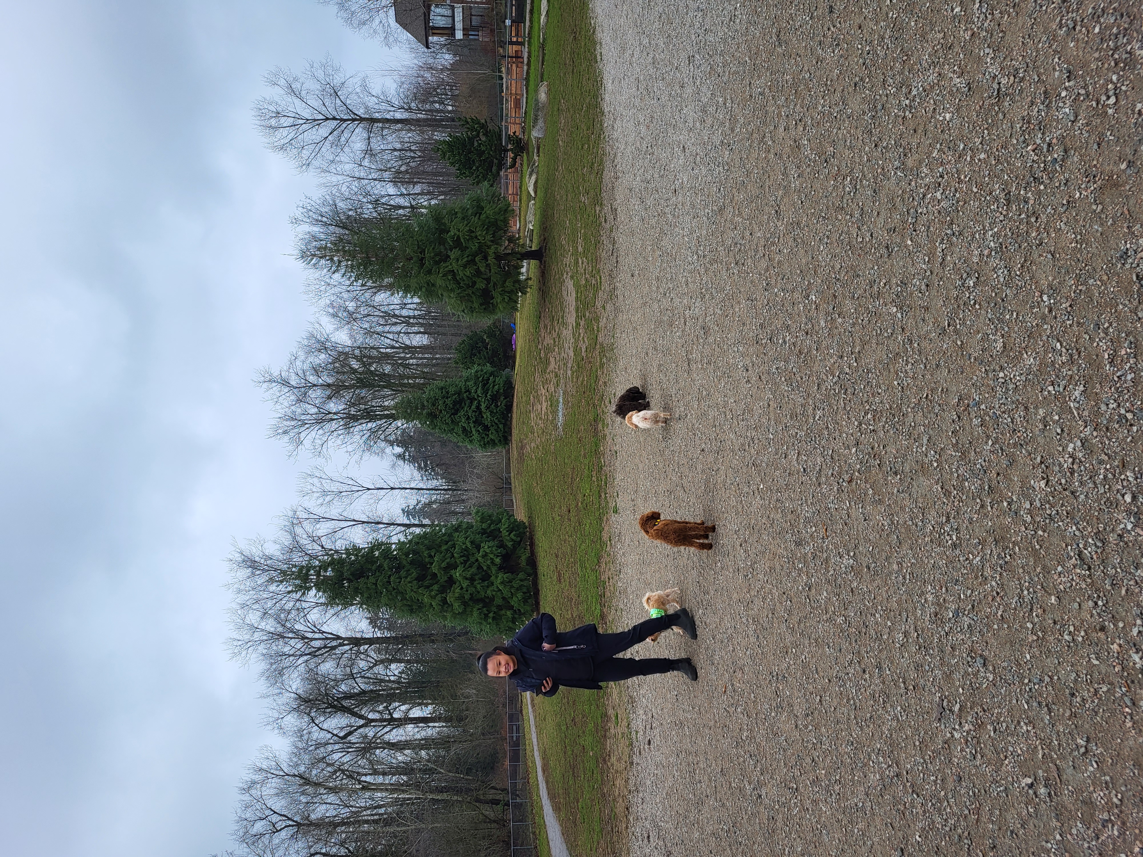 Clayton Off Leash Dog Park