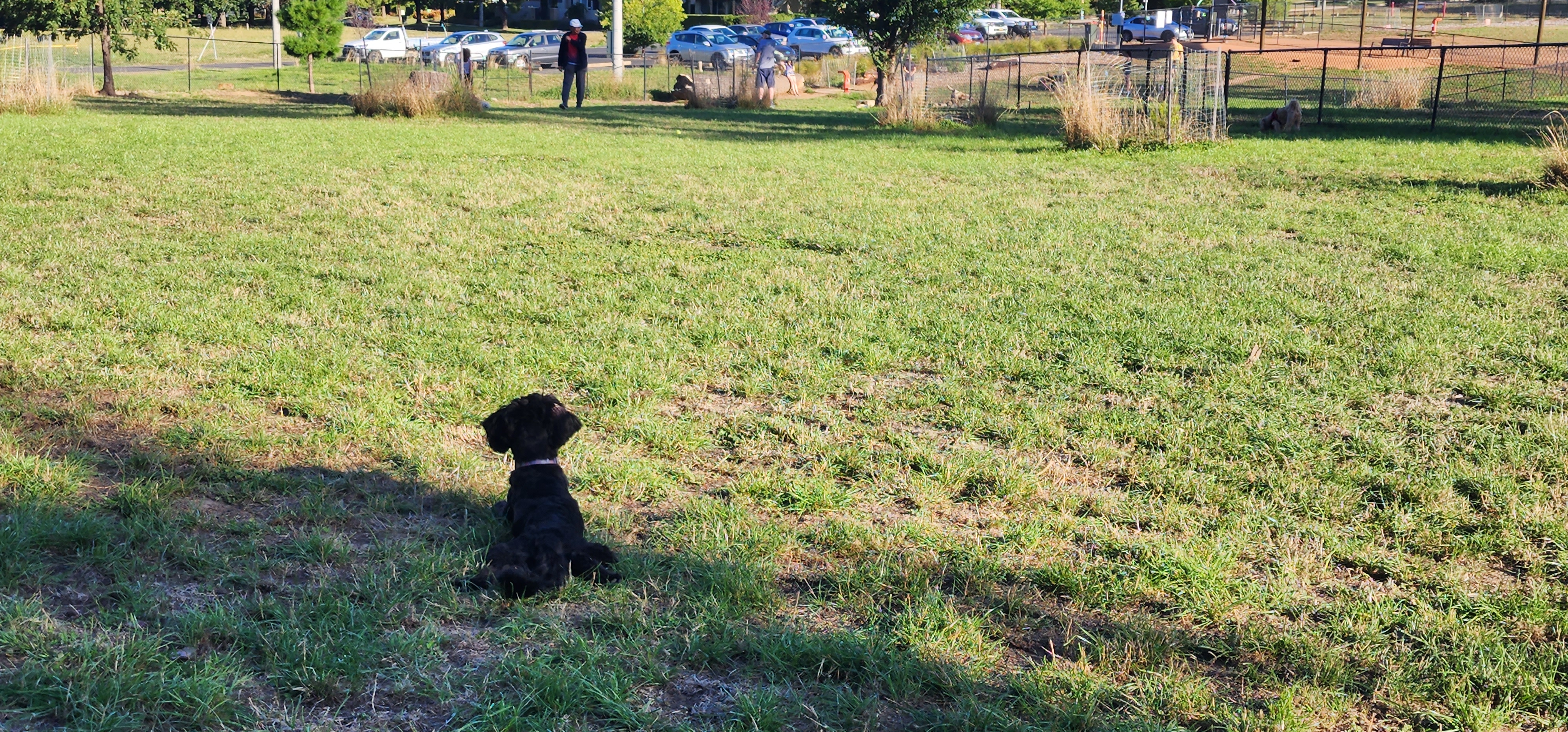 Yarralumla Dog Park
