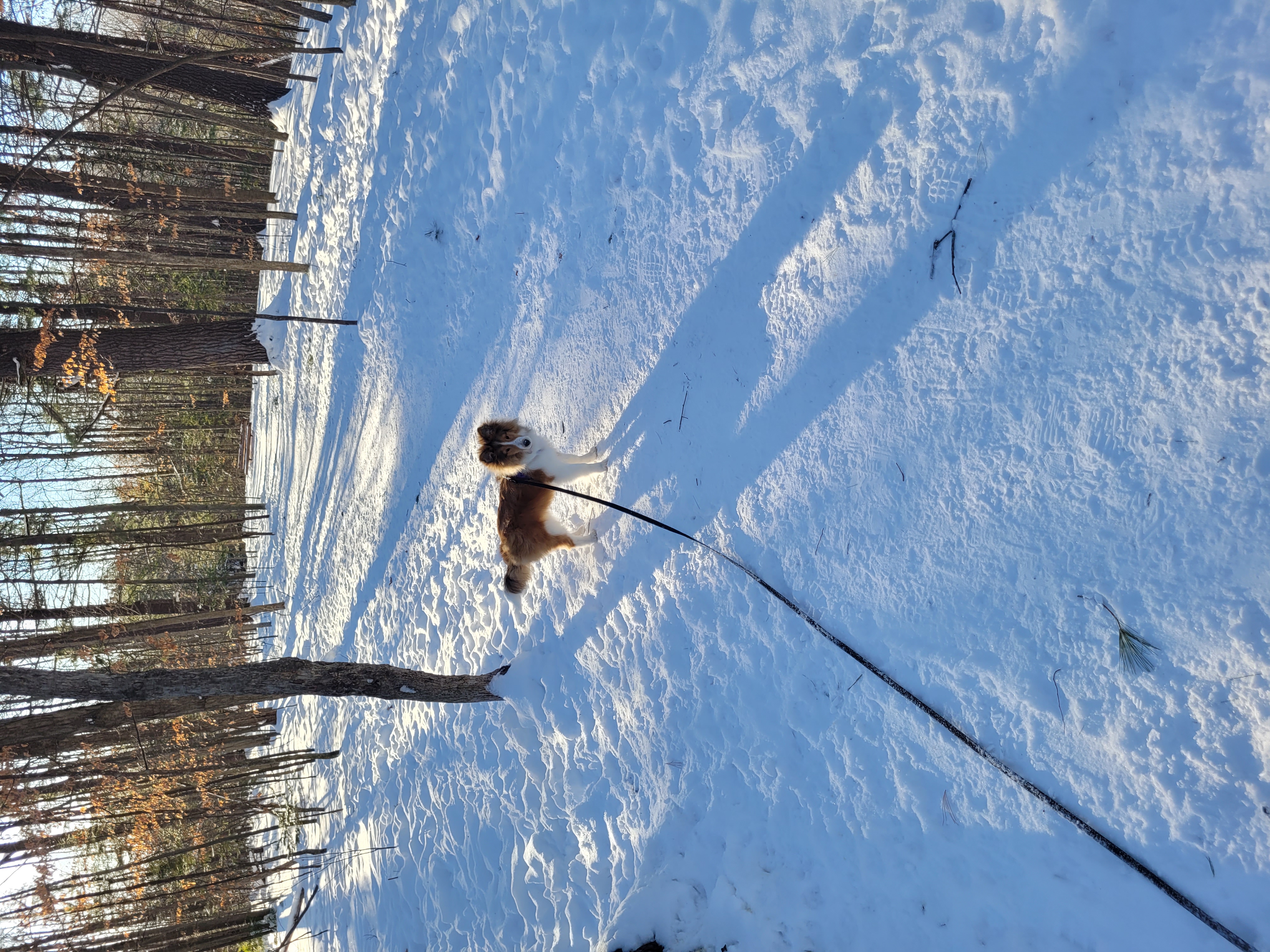 Bilberry Creek Valley