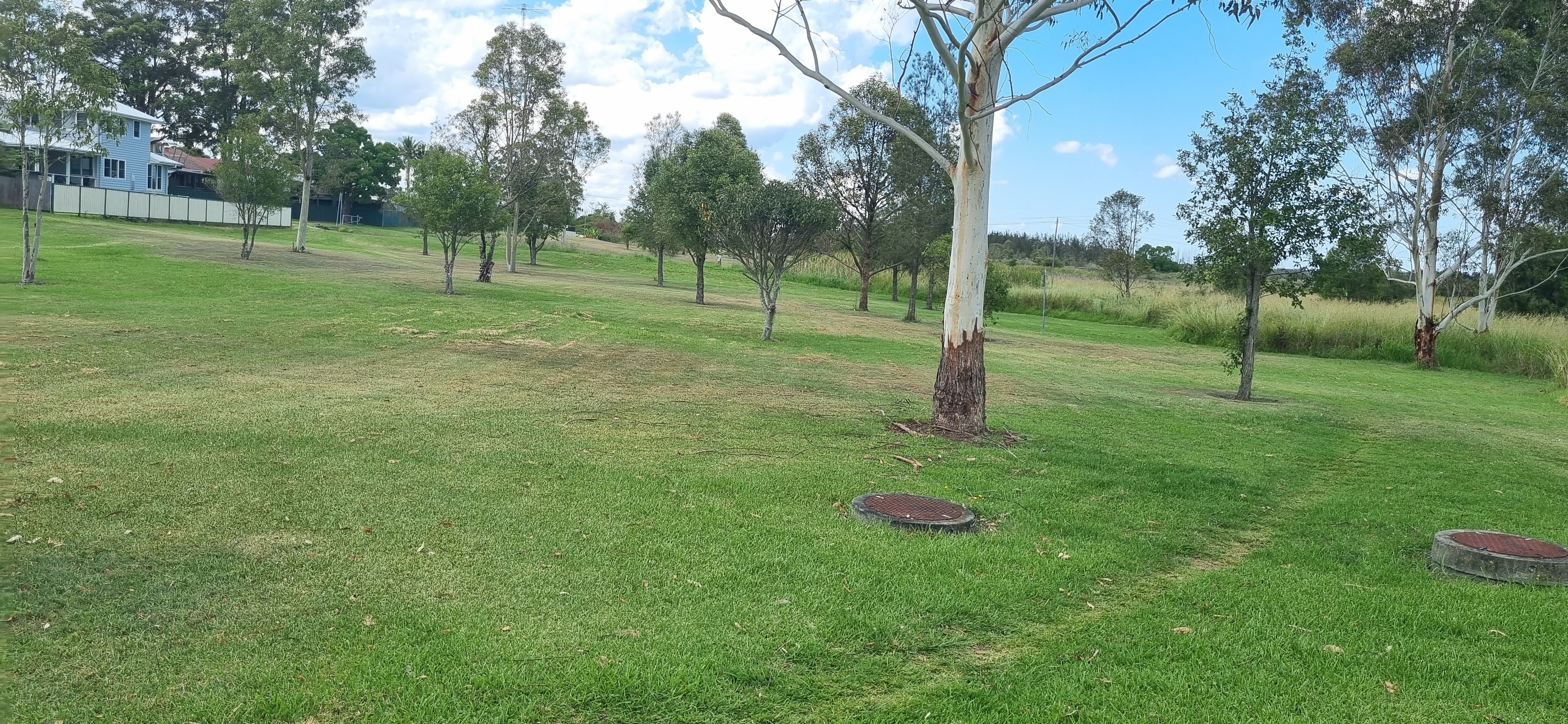 Tarro Dog Off-Leash Area