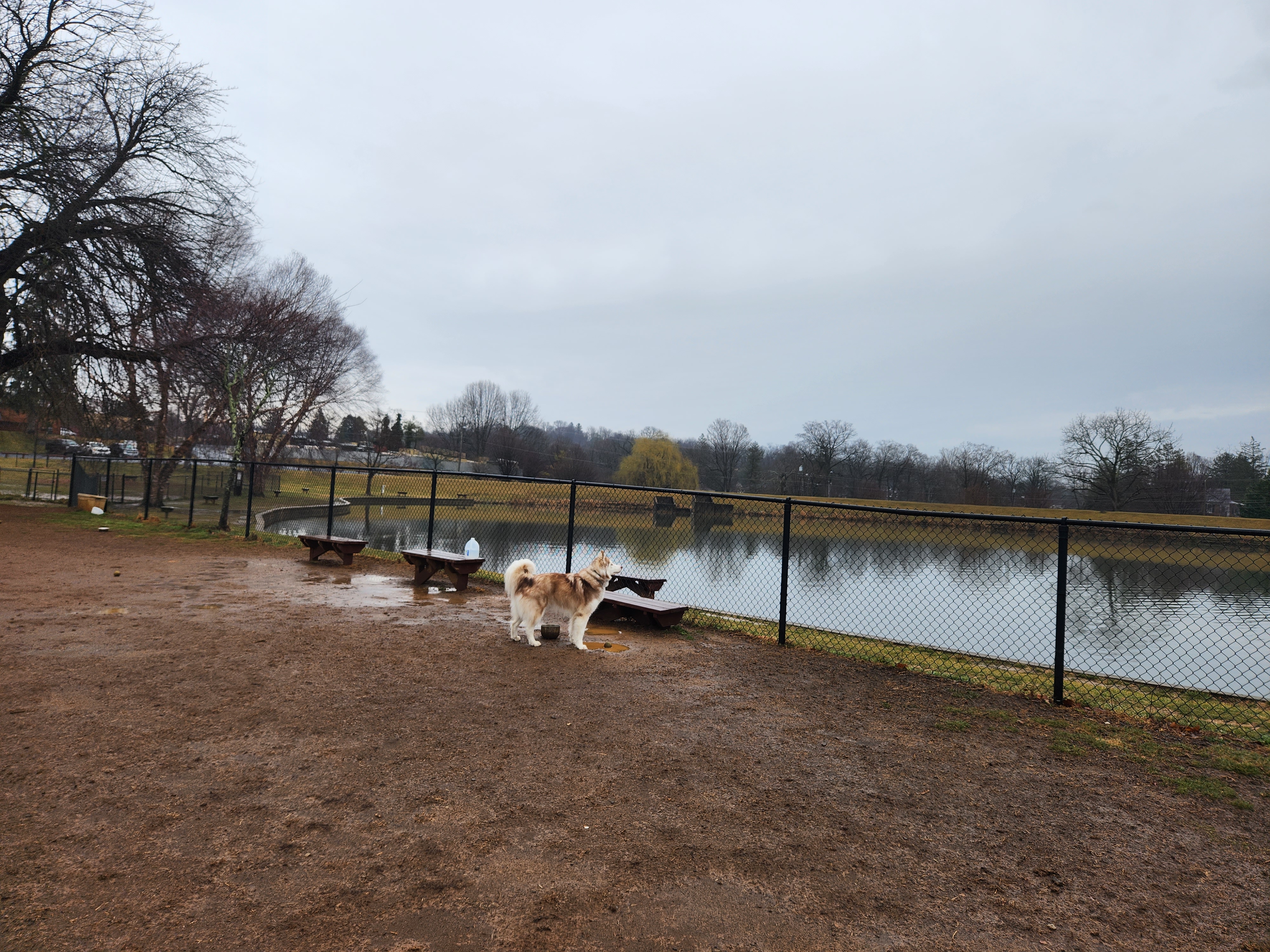 Gypsy Hill Dog Park