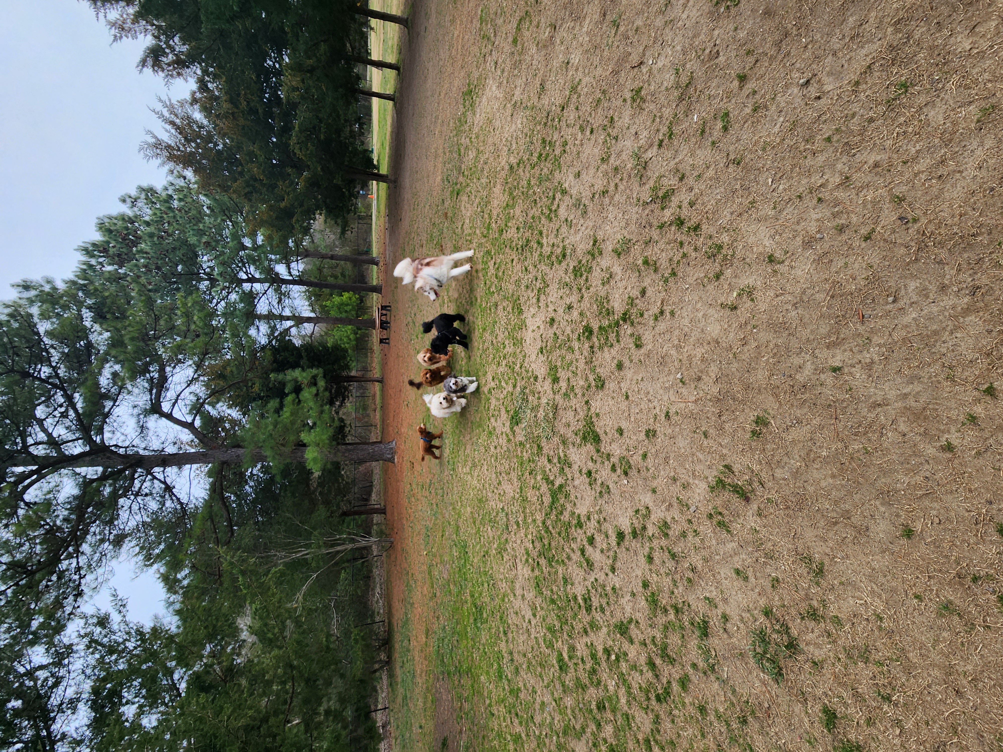 Lewes Unleashed Dog Park Private Park