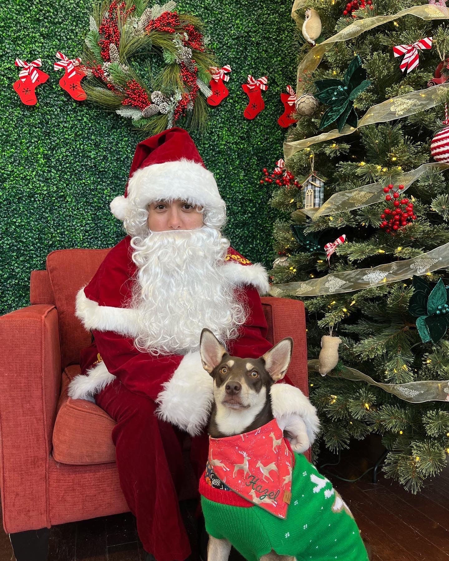 The Bark - Dog Park + Bar