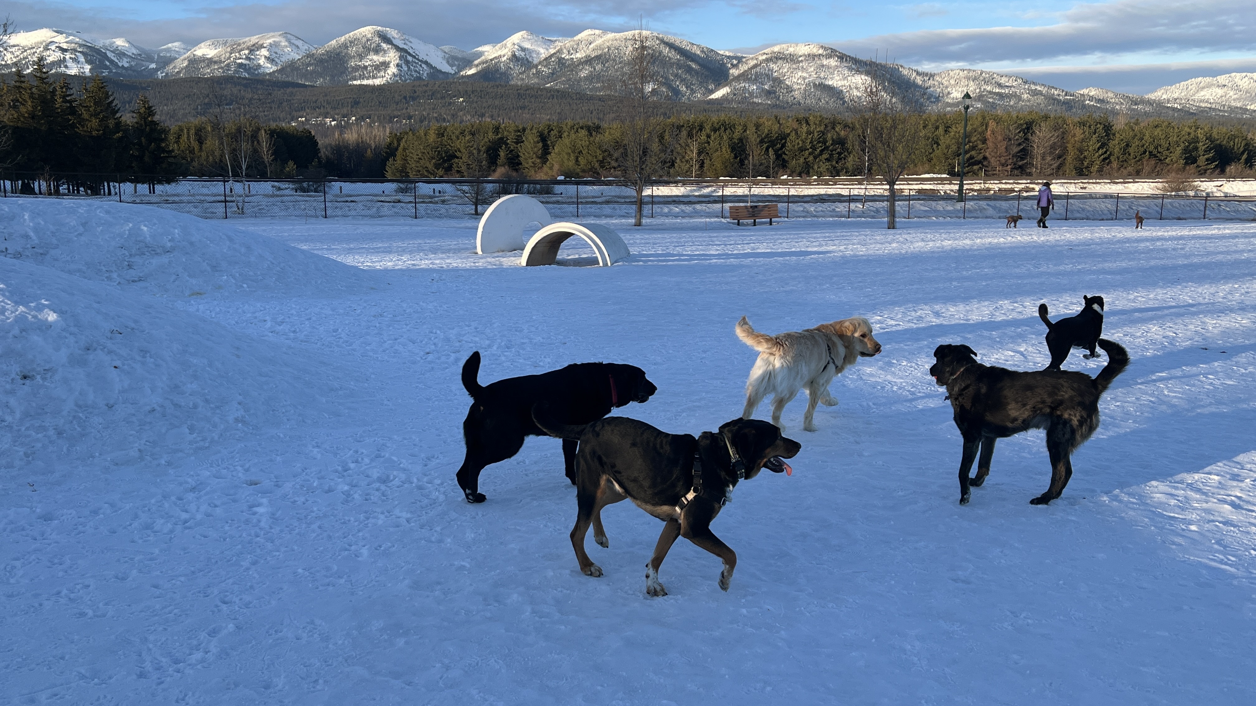 Hugh Rogers Wag Park