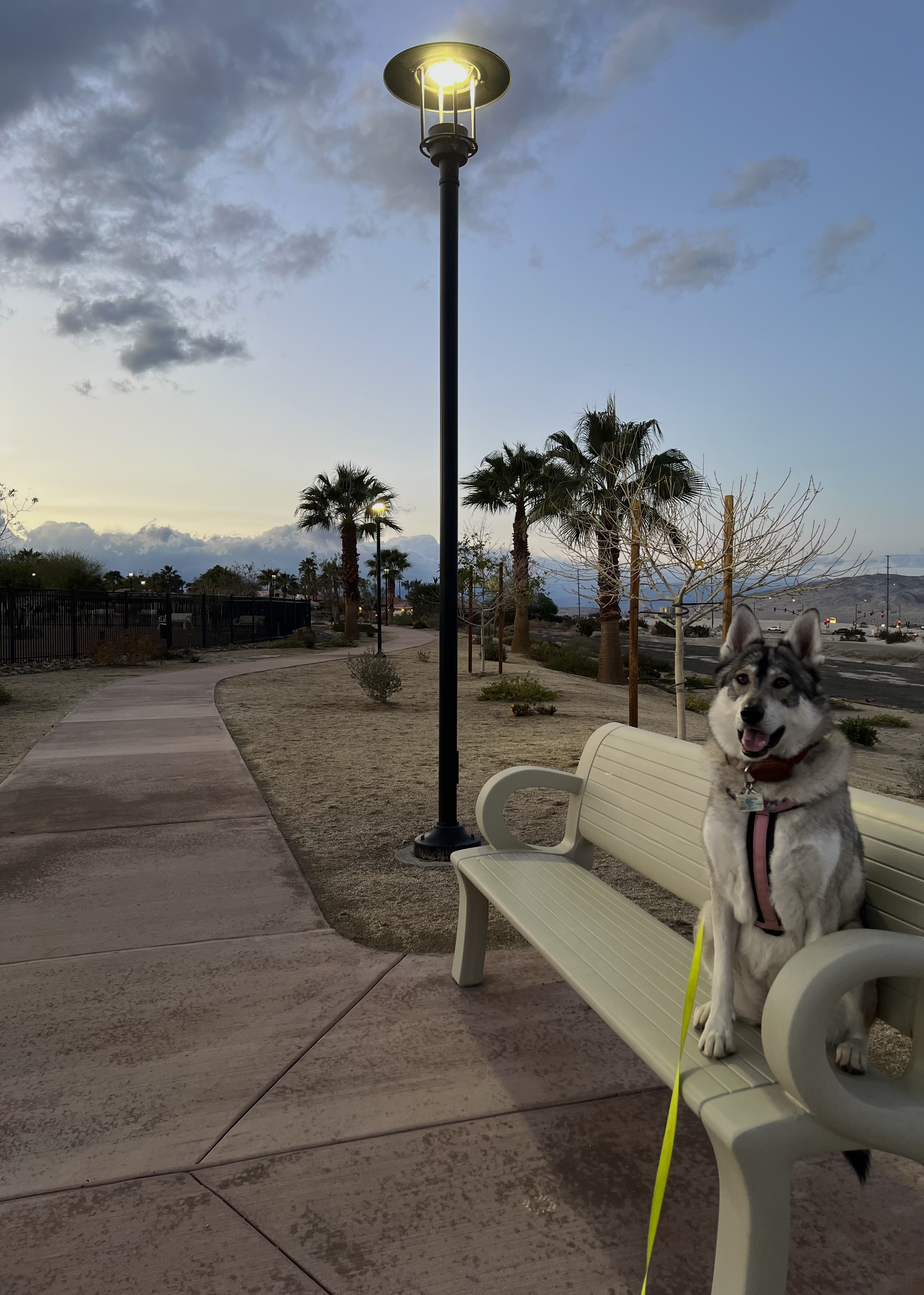 Rancho Mirage Dog Park