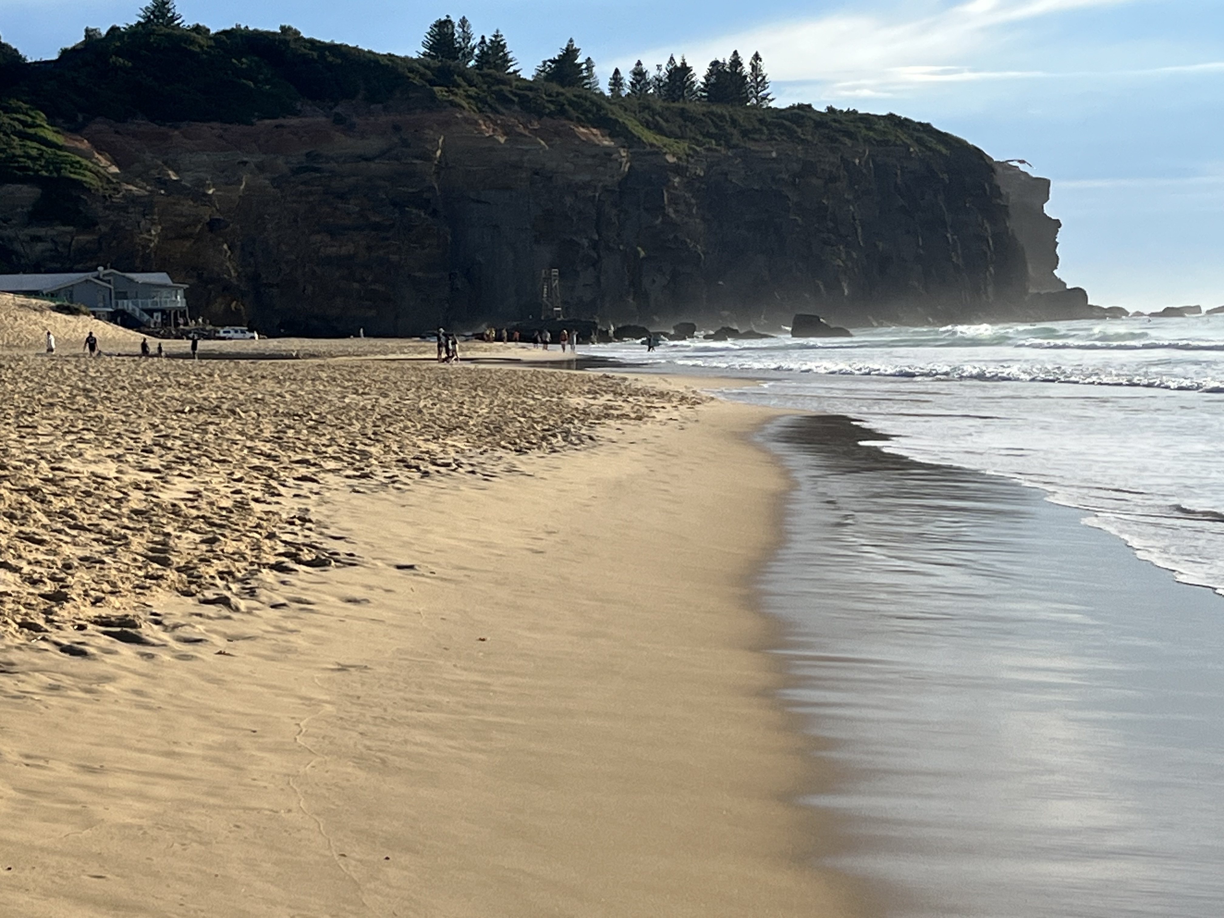 Redhead Off-Leash Dog Beach